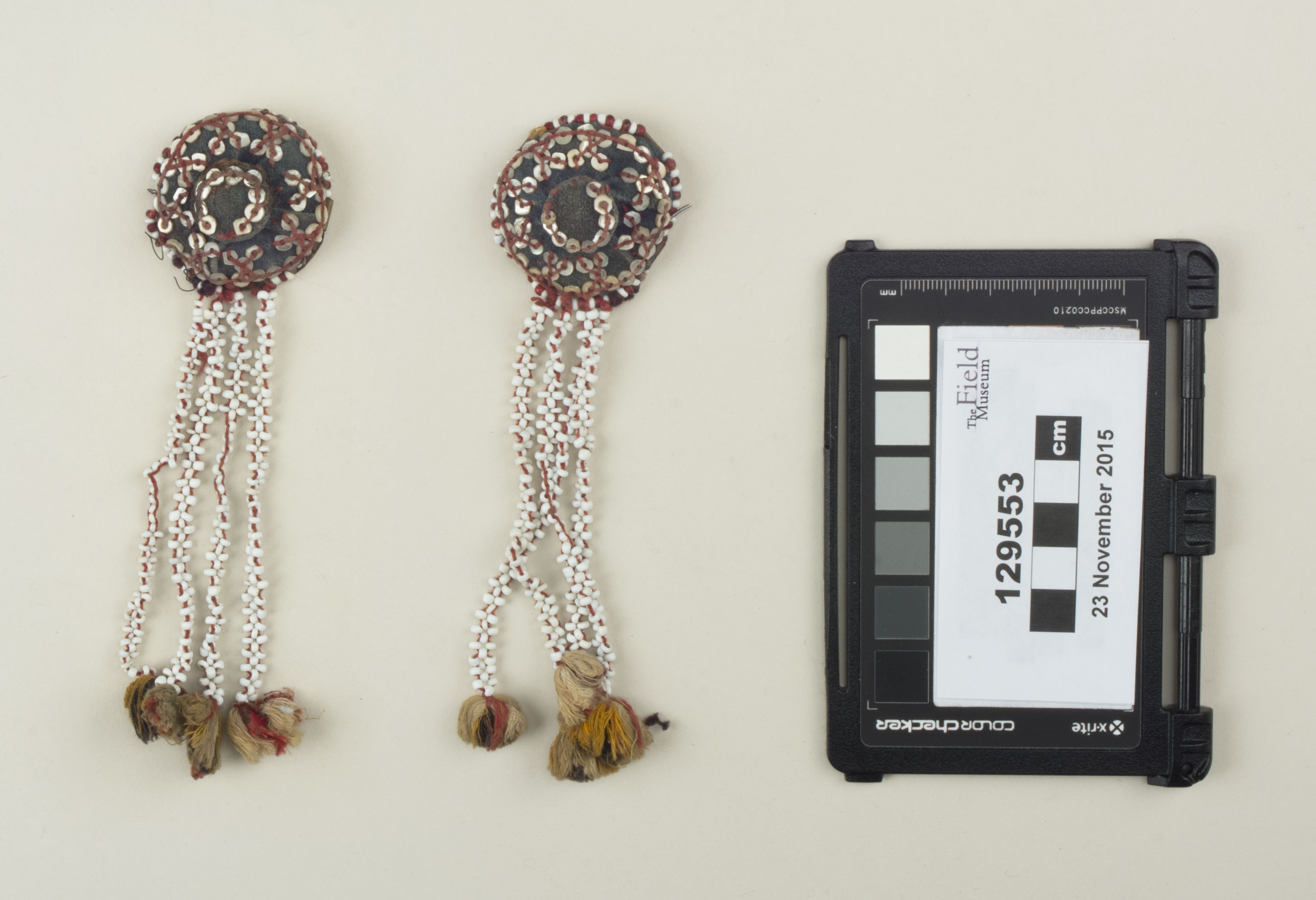 Top view (c) Field Museum of Natural History - CC BY-NC 4.0