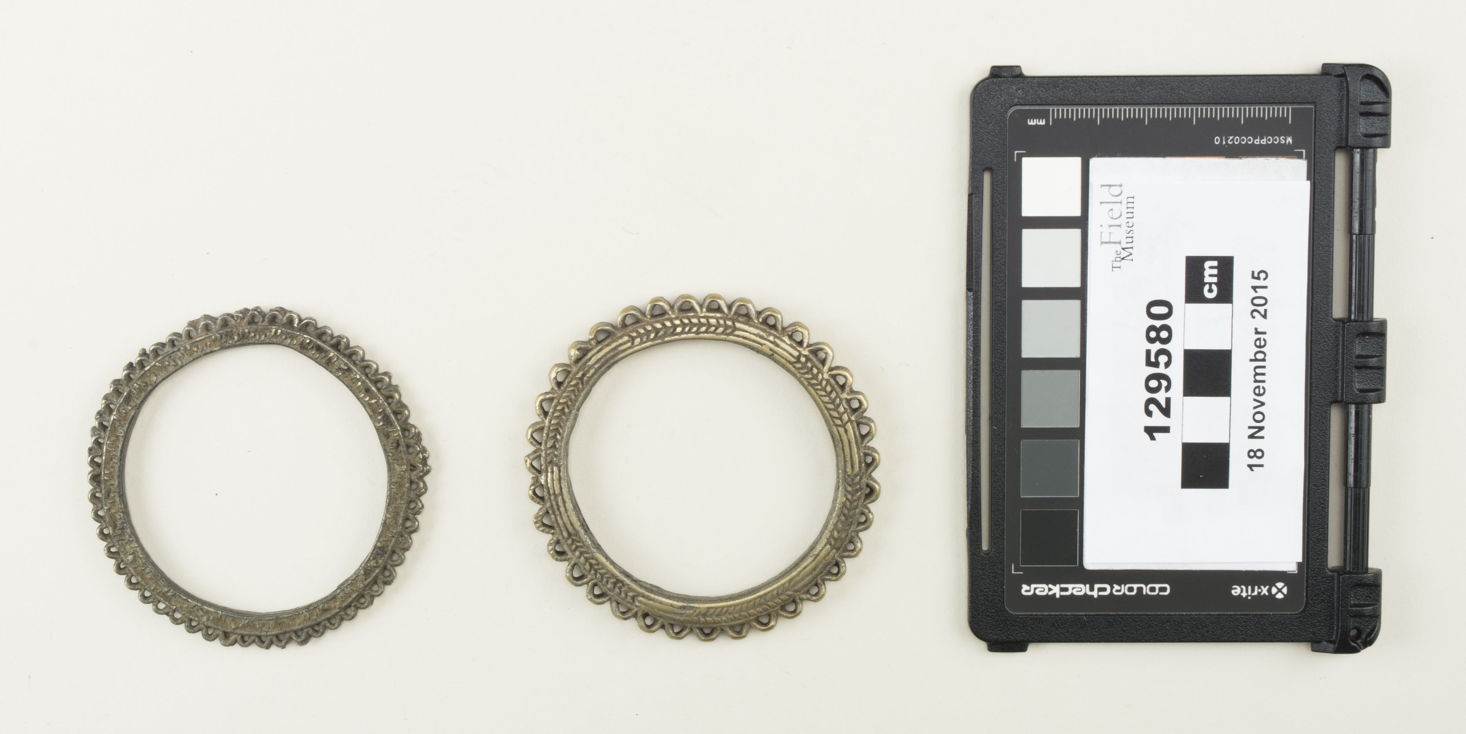 Top view (c) Field Museum of Natural History - CC BY-NC 4.0