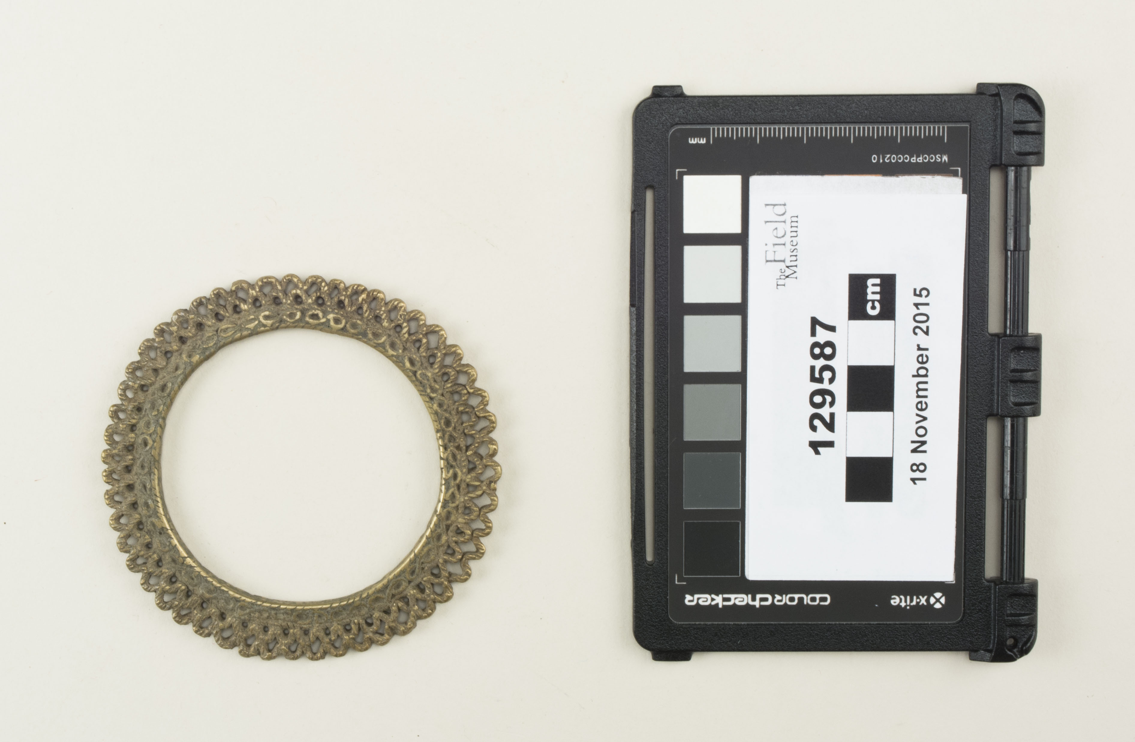 Top view (c) Field Museum of Natural History - CC BY-NC 4.0