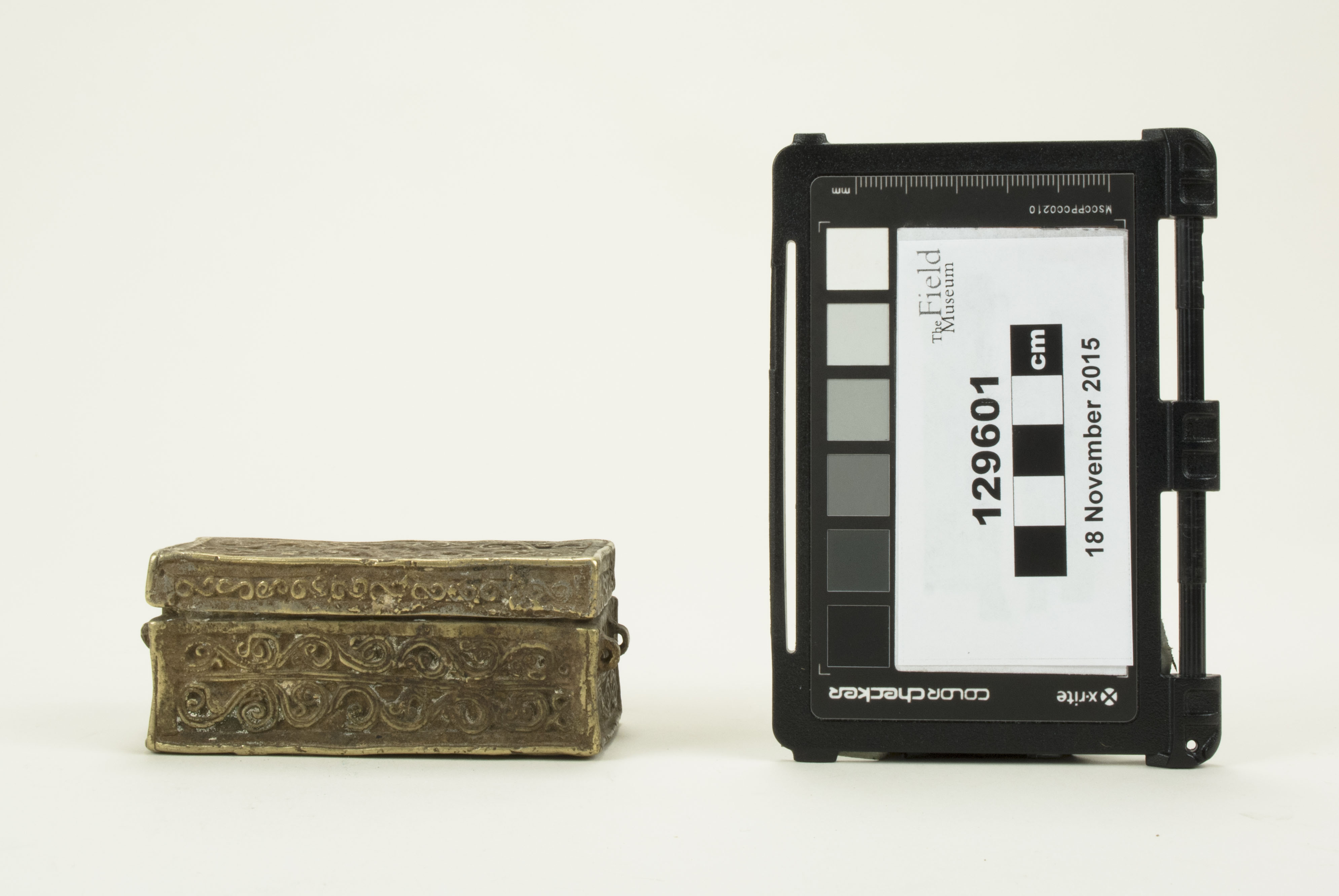 Front view (c) Field Museum of Natural History - CC BY-NC 4.0