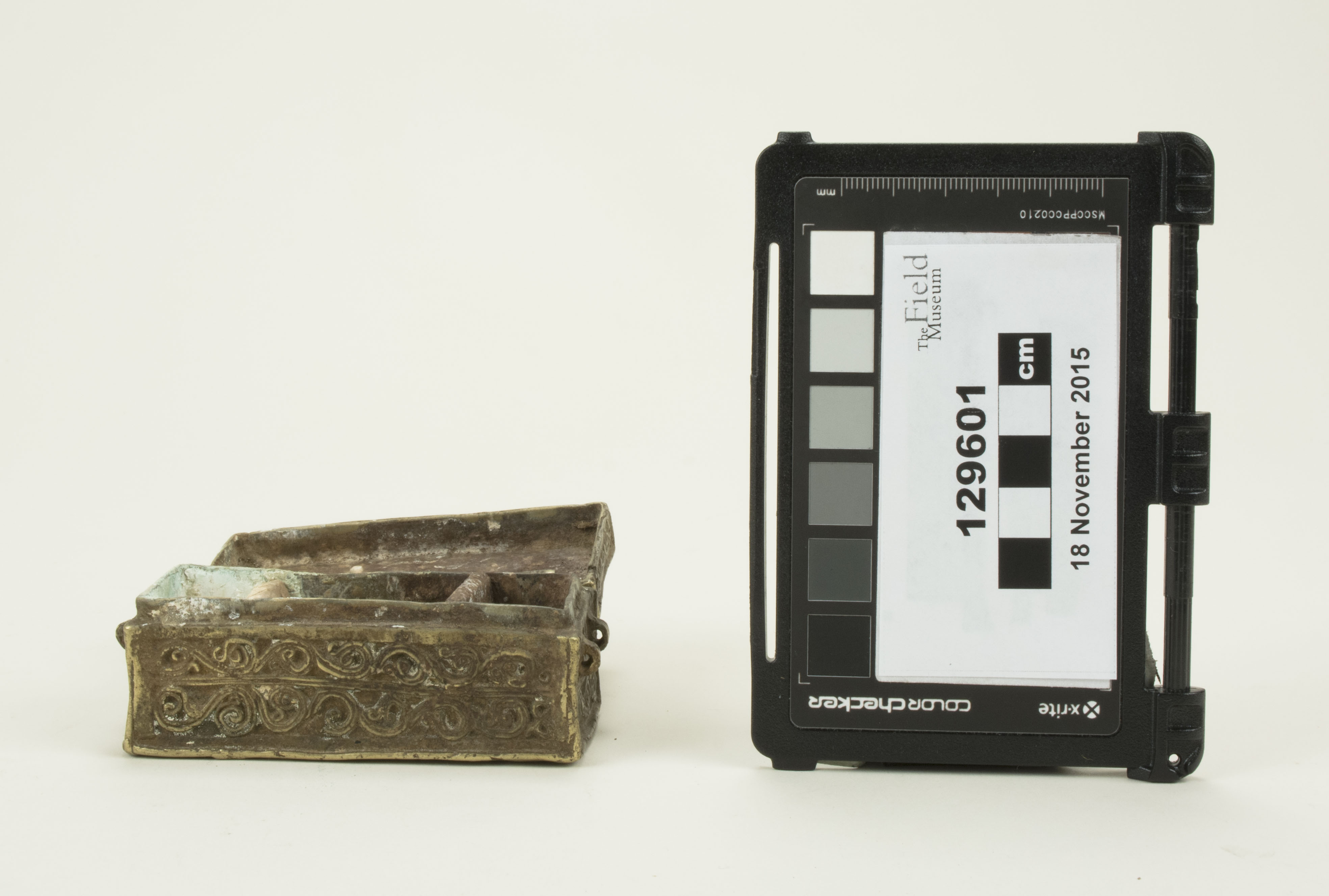 Front open view (c) Field Museum of Natural History - CC BY-NC 4.0