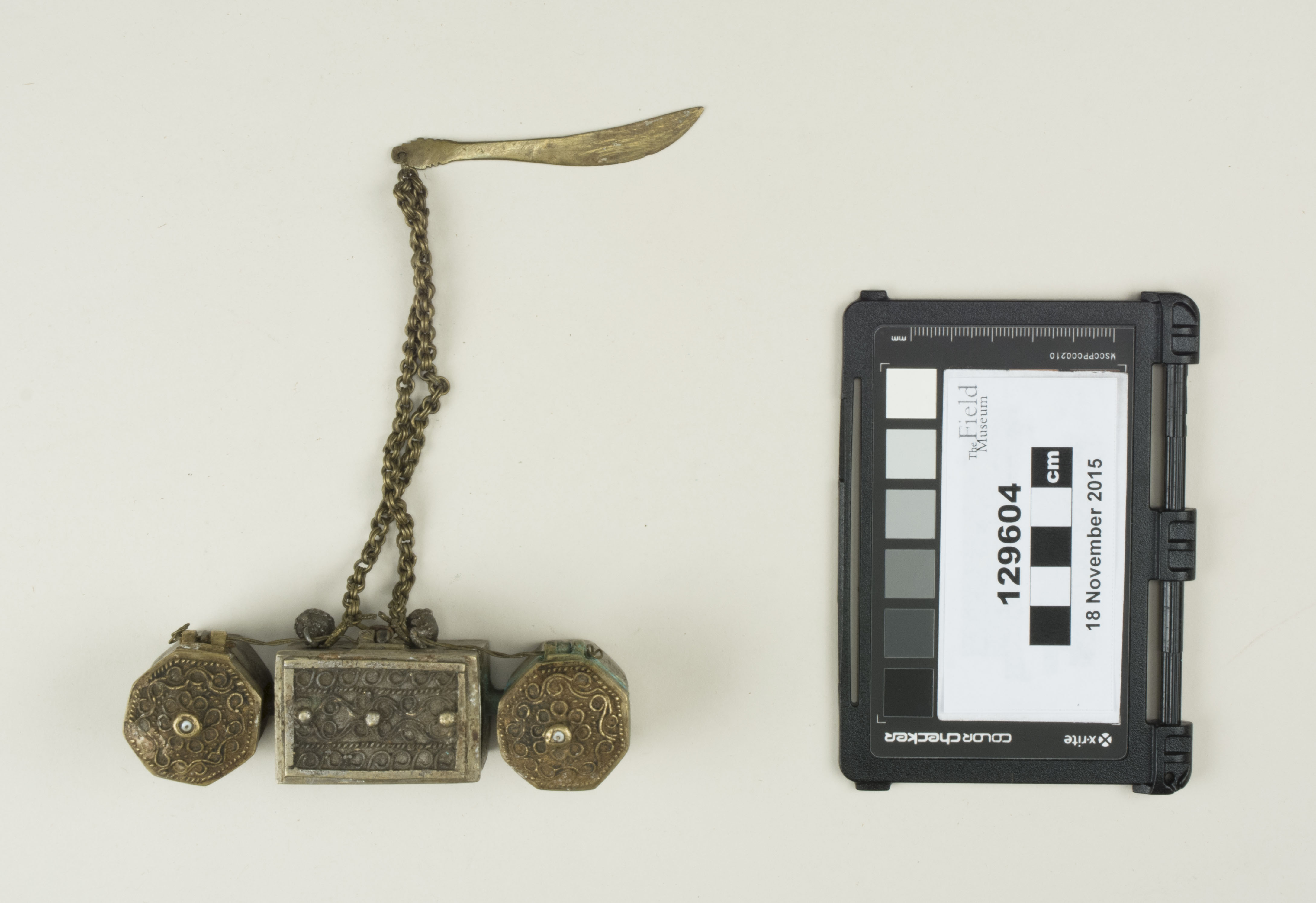 Top view (c) Field Museum of Natural History - CC BY-NC 4.0