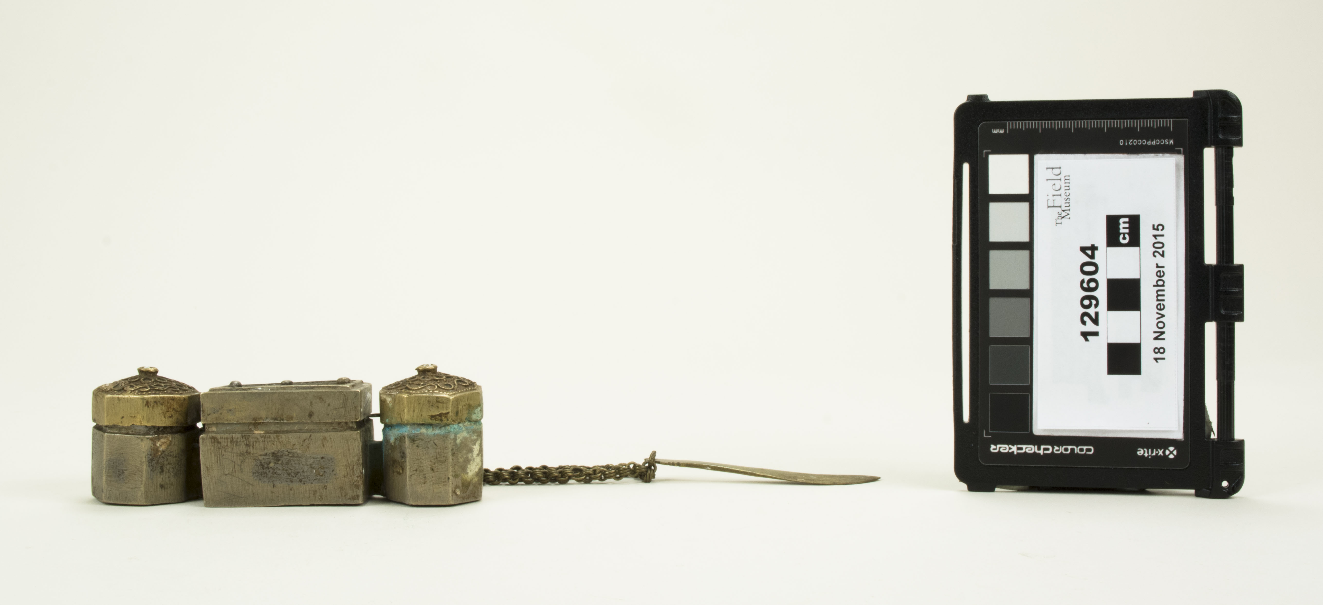 Front view (c) Field Museum of Natural History - CC BY-NC 4.0