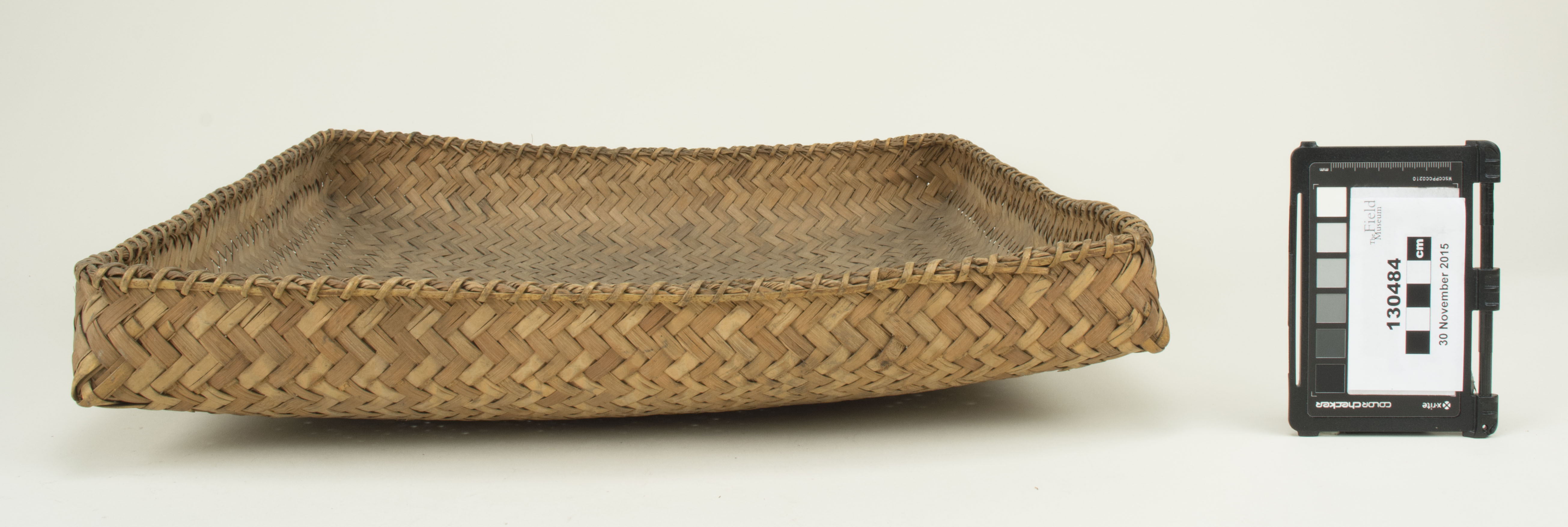 Front view (c) Field Museum of Natural History - CC BY-NC 4.0