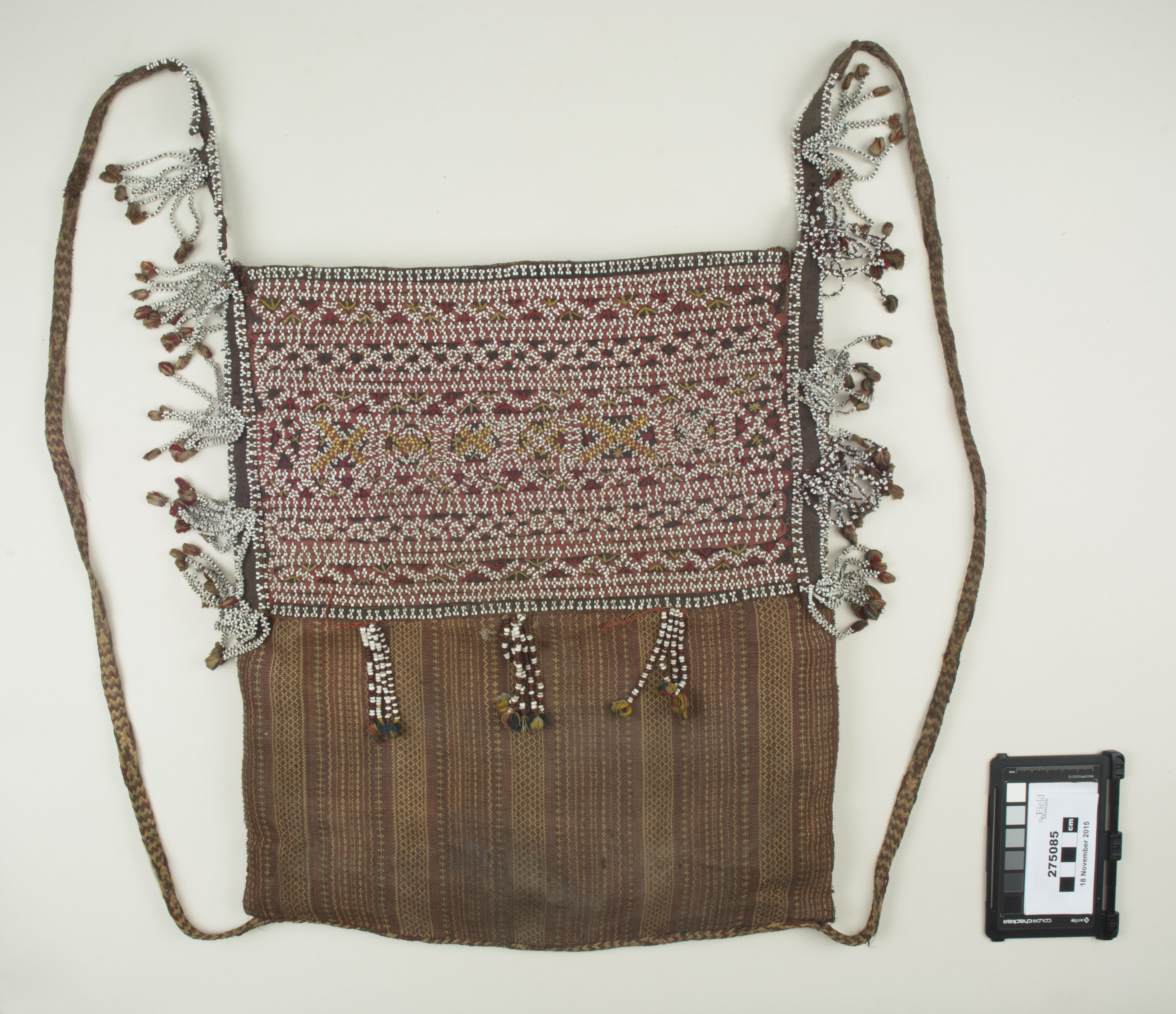 Top view (c) Field Museum of Natural History - CC BY-NC 4.0