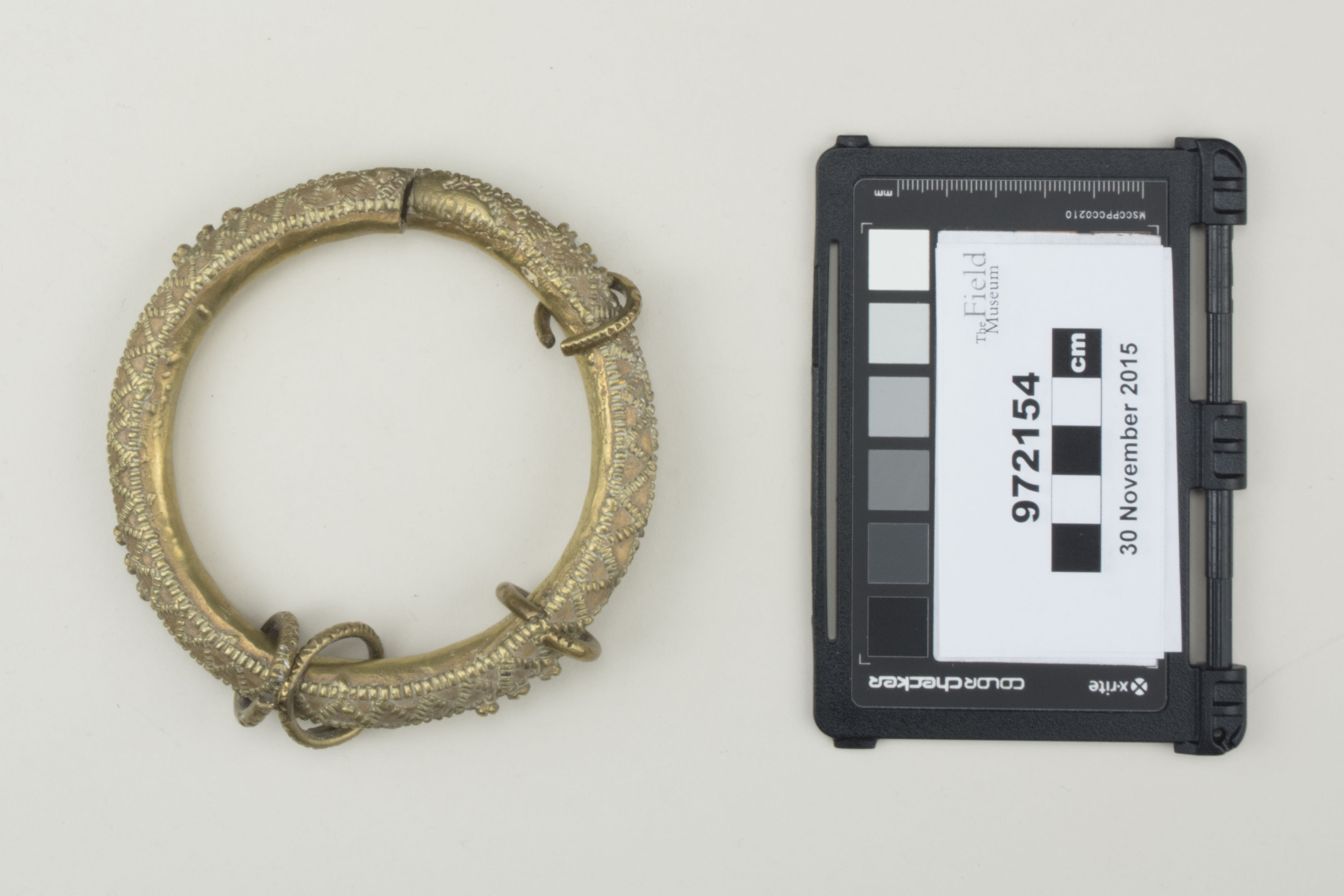 Top view (c) Field Museum of Natural History - CC BY-NC 4.0