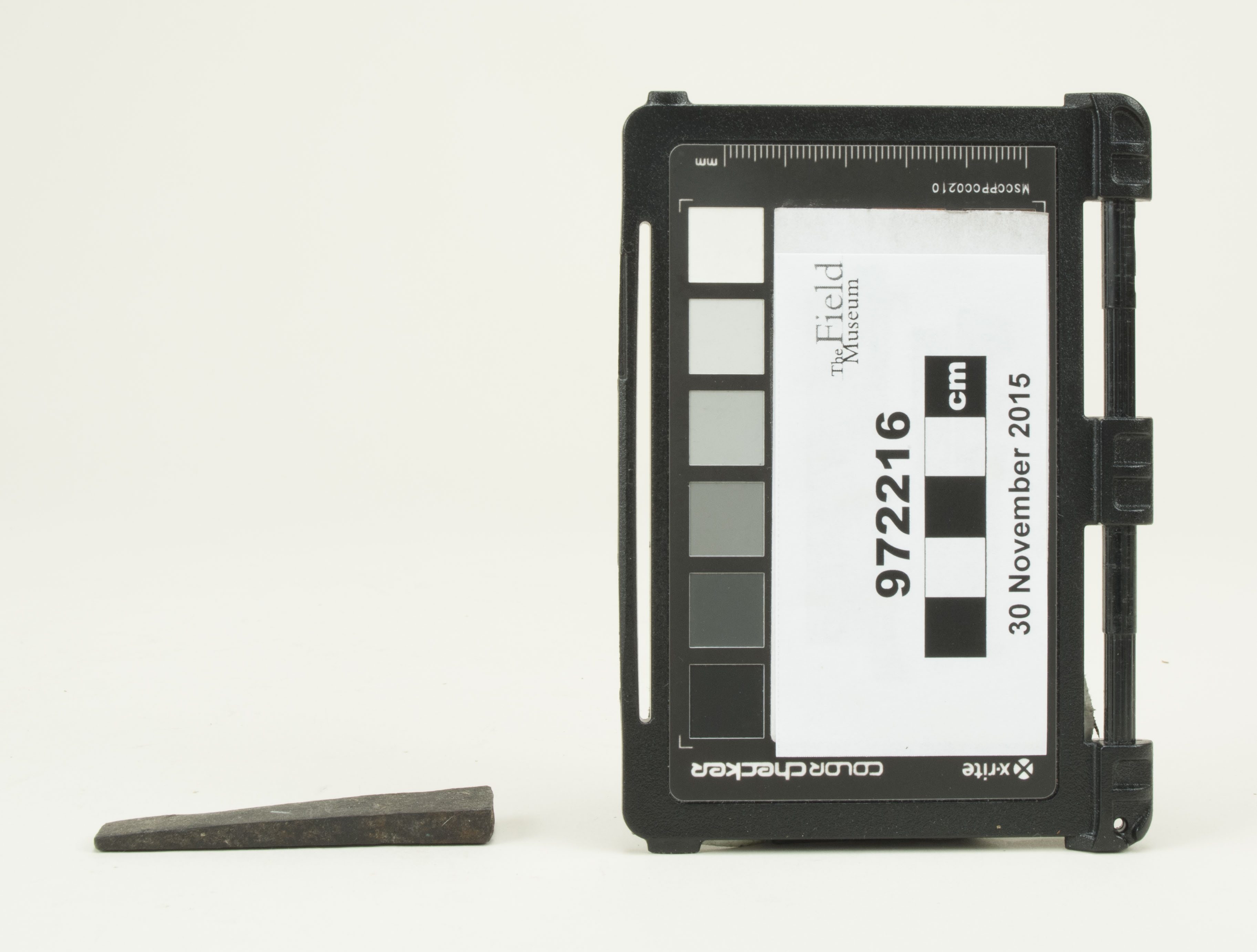 Side view (c) Field Museum of Natural History - CC BY-NC 4.0