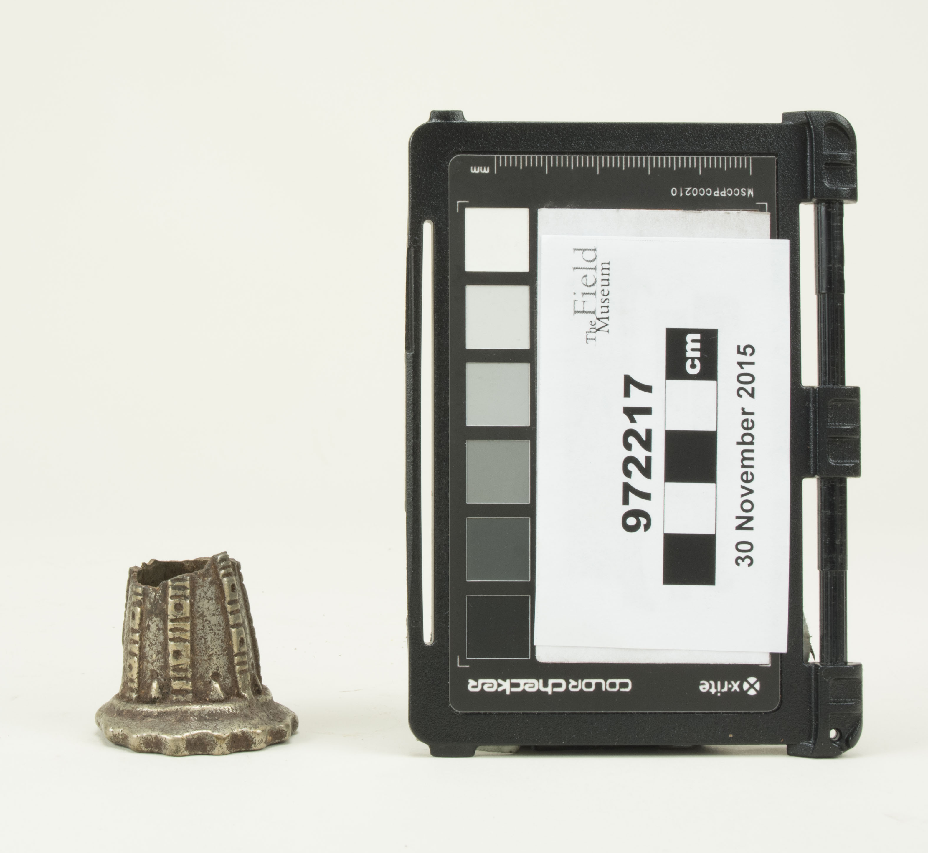 Front view (c) Field Museum of Natural History - CC BY-NC 4.0