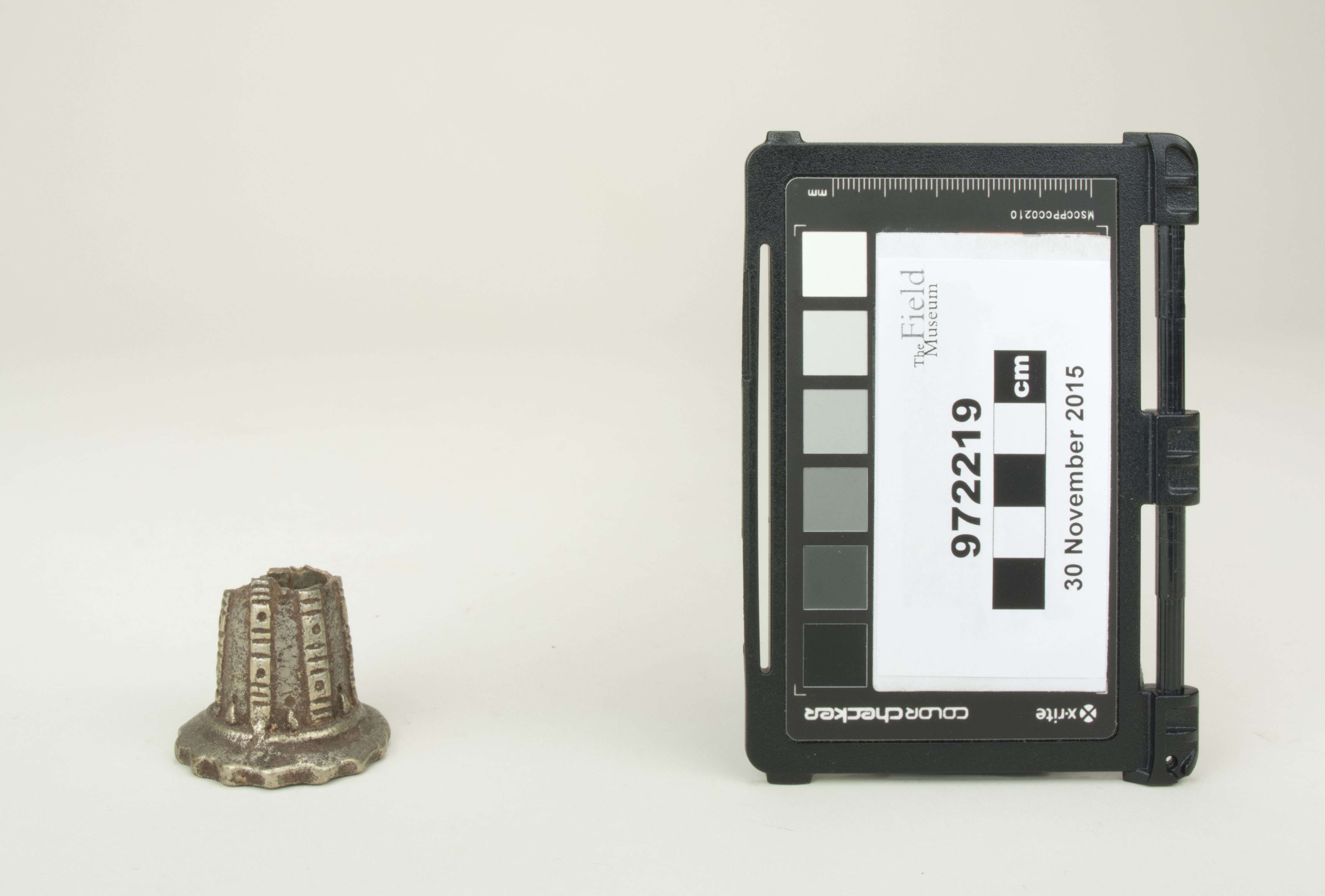 Front view (c) Field Museum of Natural History - CC BY-NC 4.0