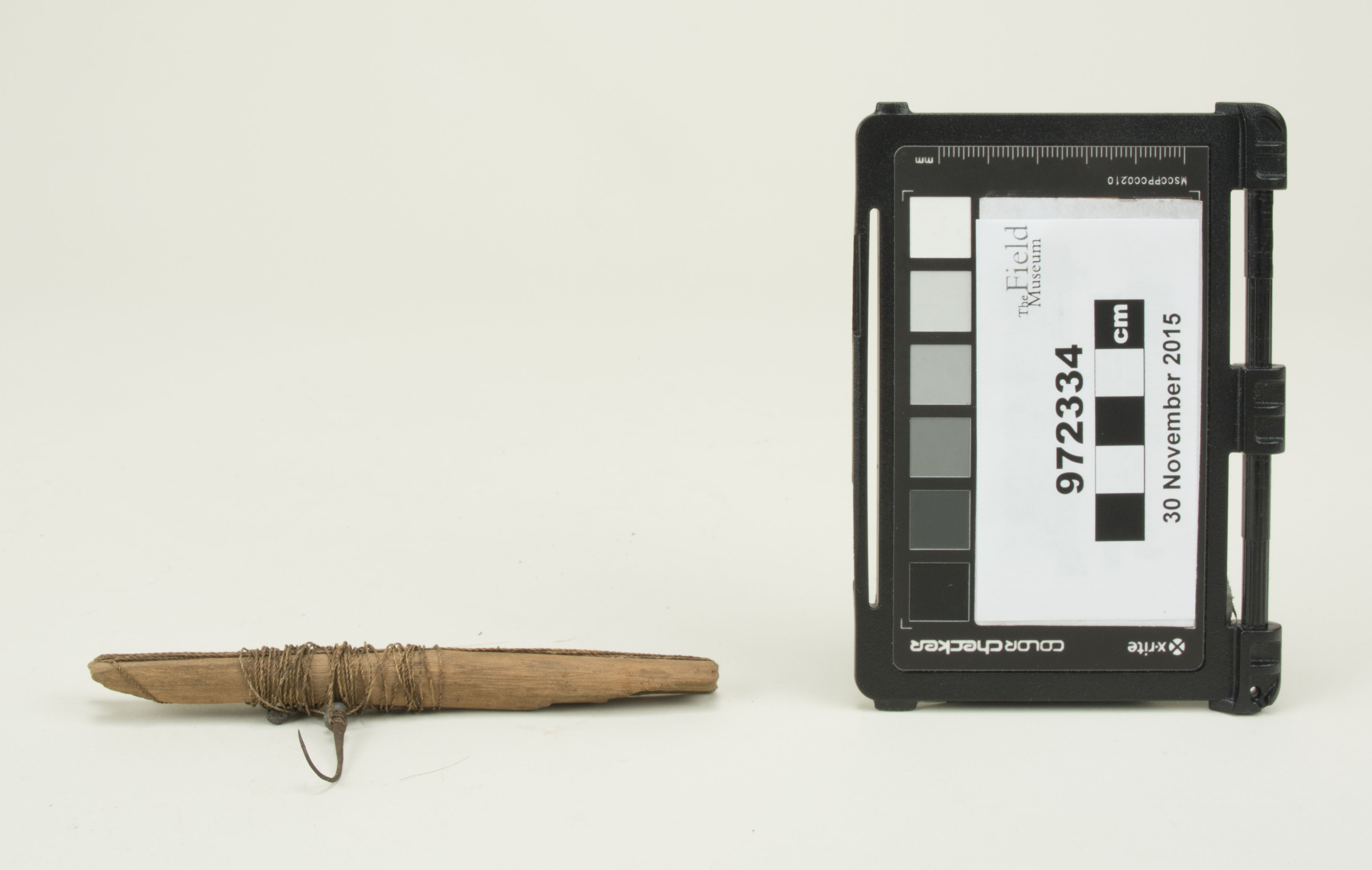 Side view (c) Field Museum of Natural History - CC BY-NC 4.0