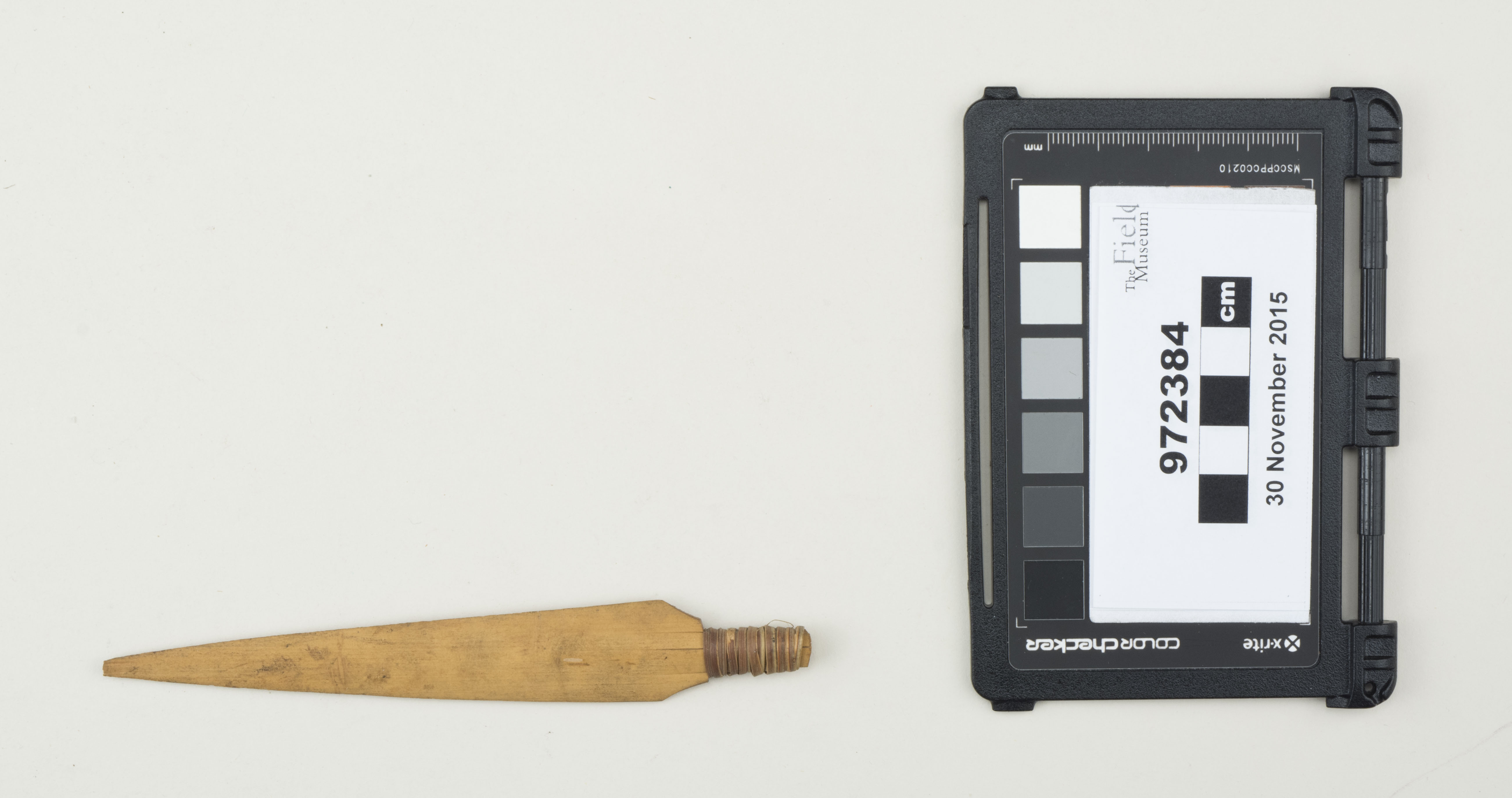 Top view (c) Field Museum of Natural History - CC BY-NC 4.0