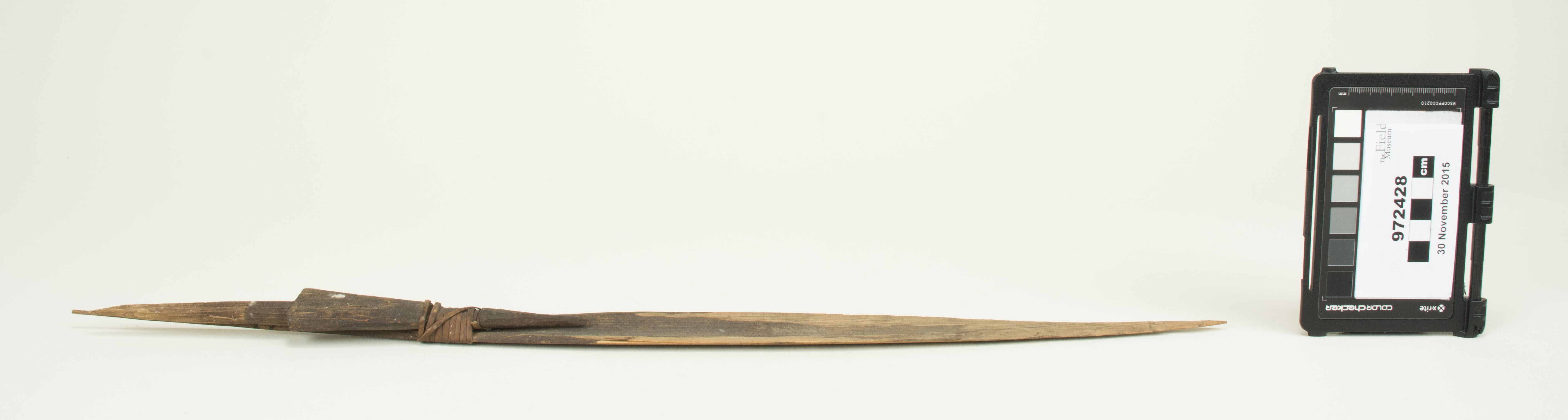 Side view (c) Field Museum of Natural History - CC BY-NC 4.0