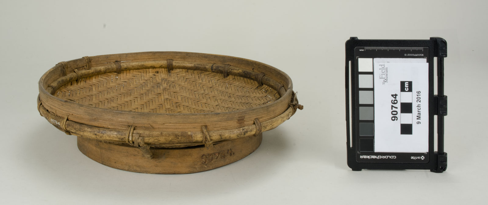 Front View (c) Field Museum of Natural History - CC BY-NC 4.0