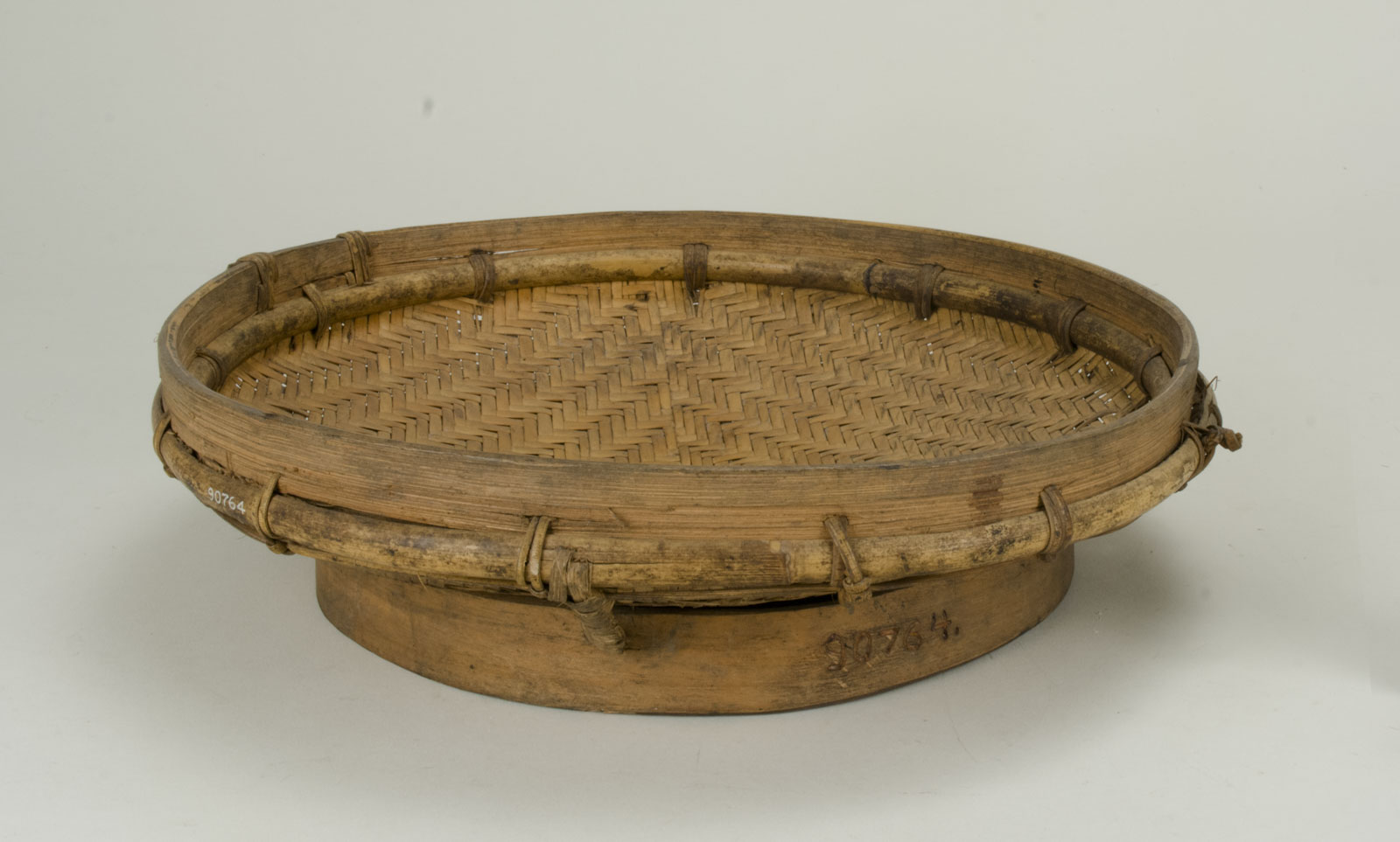 Front View Without Scale (c) Field Museum of Natural History - CC BY-NC 4.0