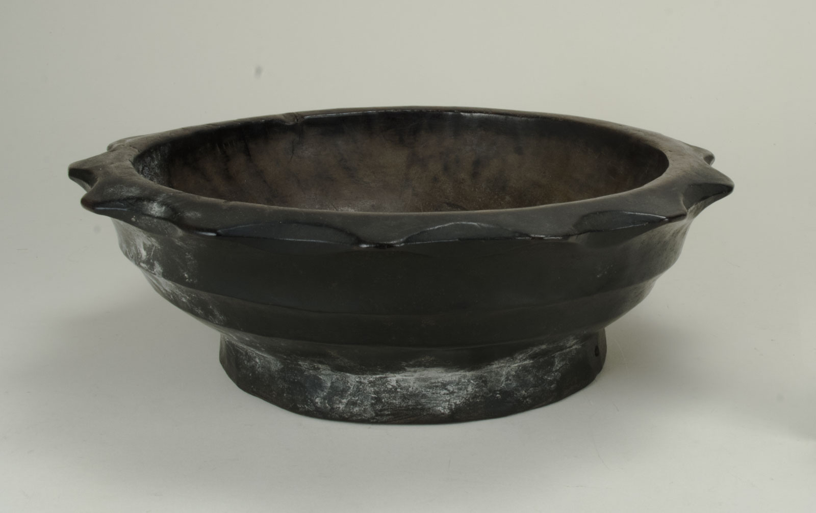 Front View Without Scale (c) Field Museum of Natural History - CC BY-NC 4.0