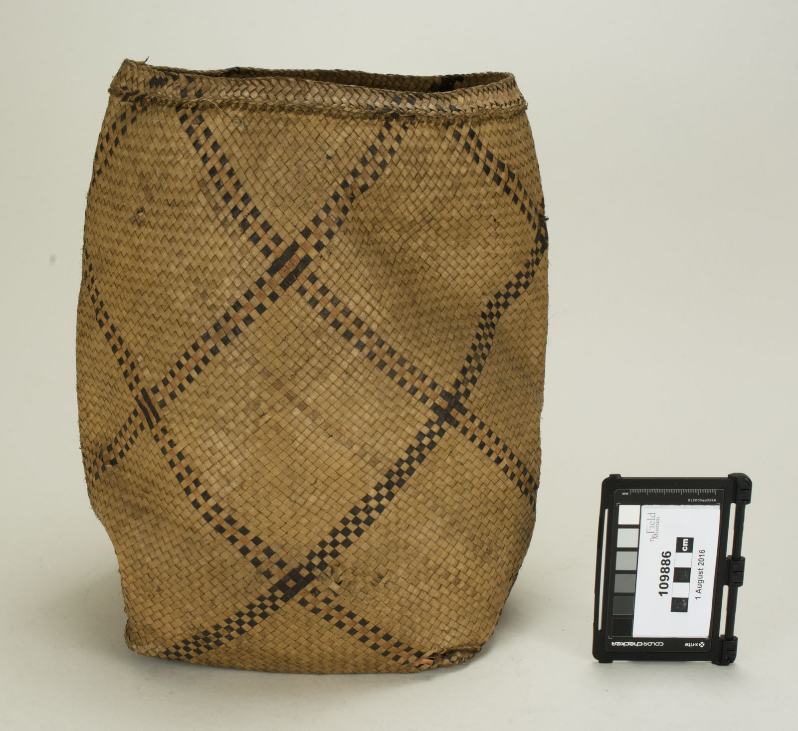 Front View (c) Field Museum of Natural History - CC BY-NC 4.0