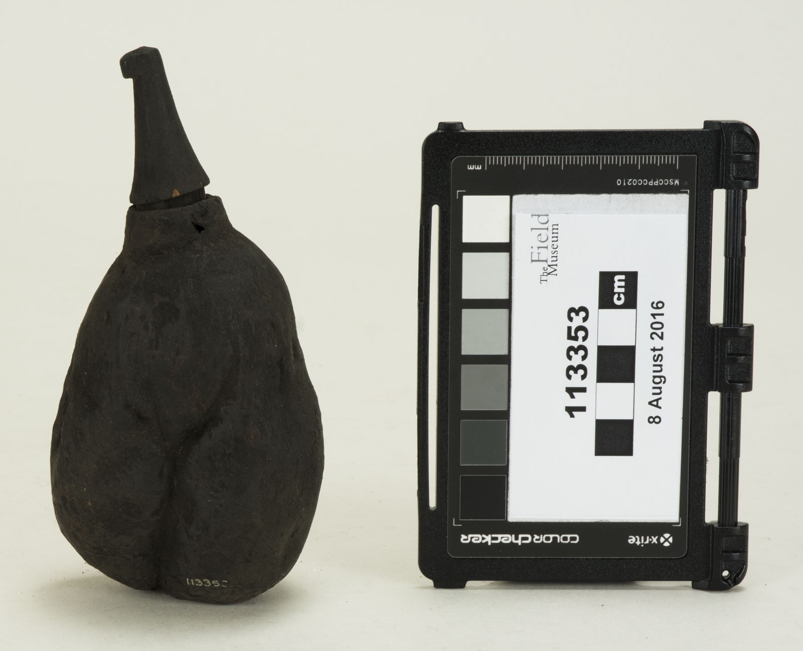 Side View (c) Field Museum of Natural History - CC BY-NC 4.0