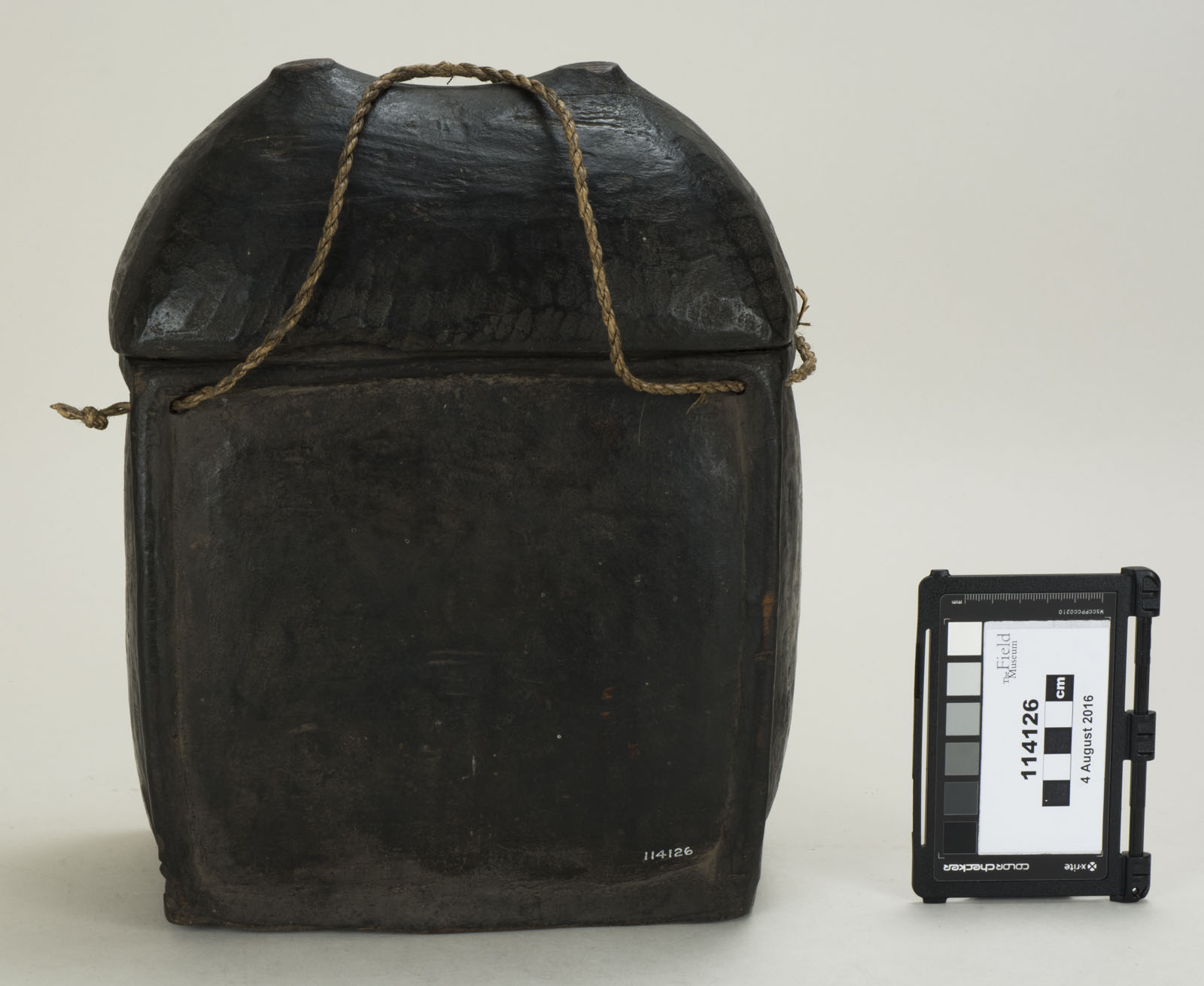 Front View (c) Field Museum of Natural History - CC BY-NC 4.0