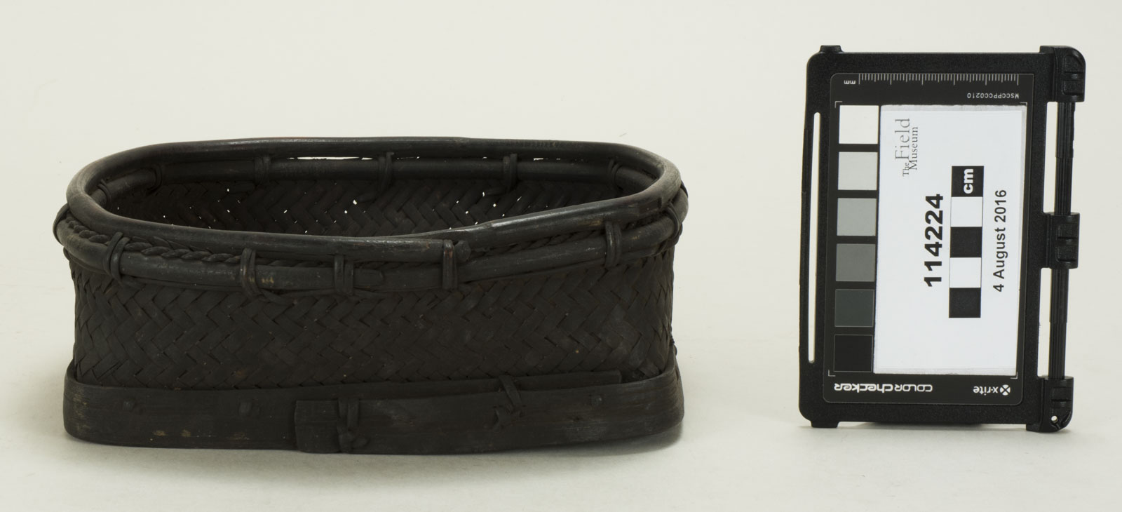 Front View (c) Field Museum of Natural History - CC BY-NC 4.0