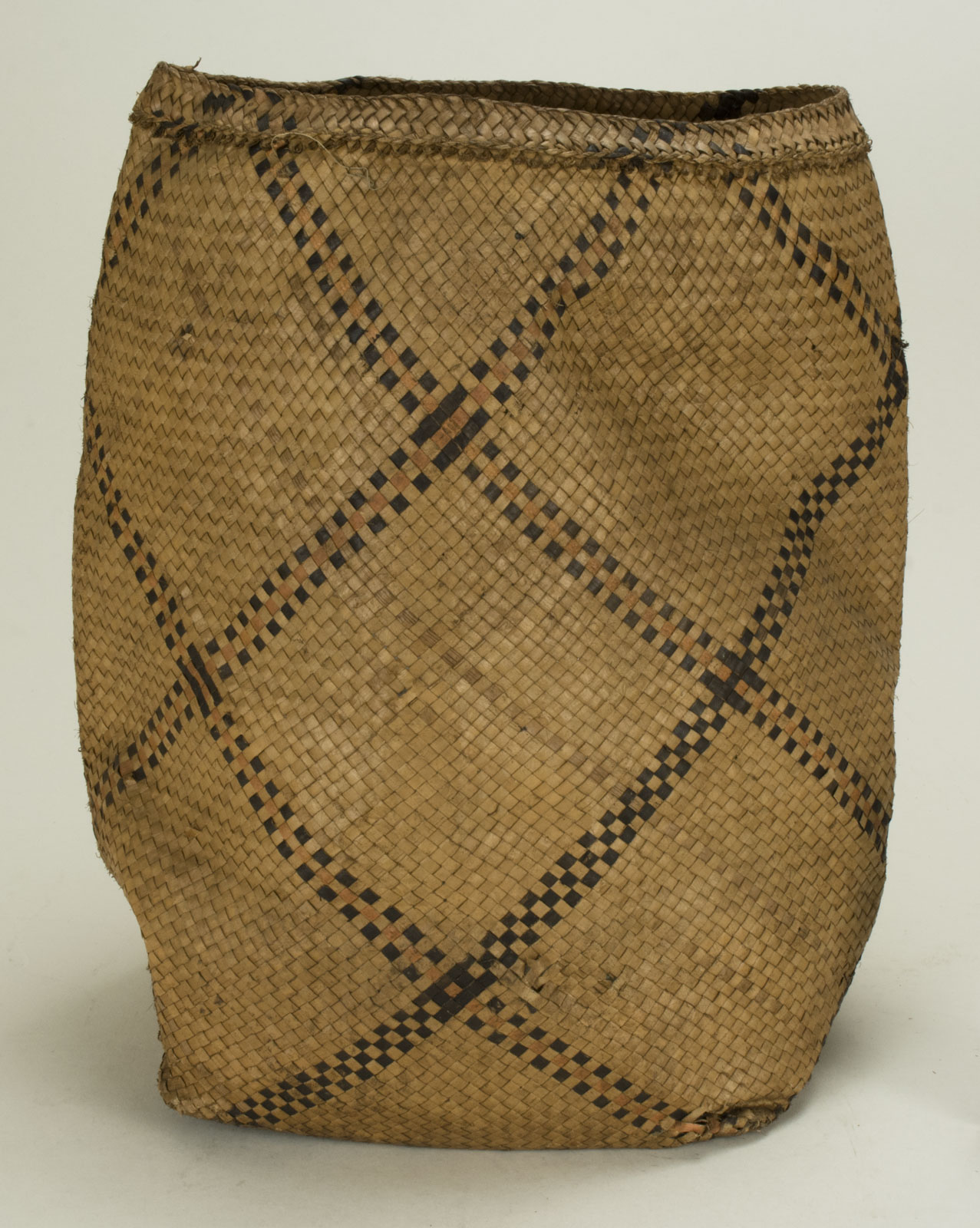 Front View Without Scale (c) Field Museum of Natural History - CC BY-NC 4.0