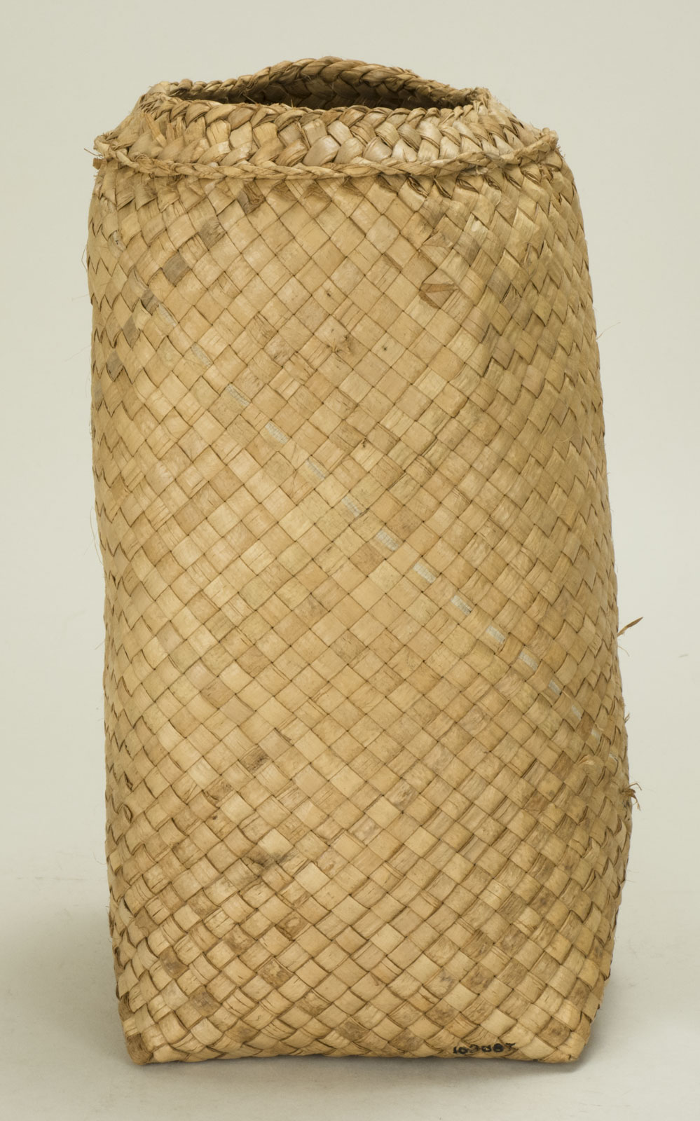 Front View Without Scale (c) Field Museum of Natural History - CC BY-NC 4.0