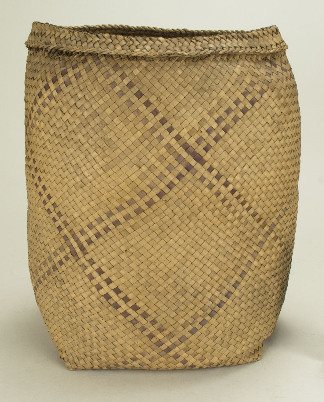 Front View Without Scale (c) Field Museum of Natural History - CC BY-NC 4.0