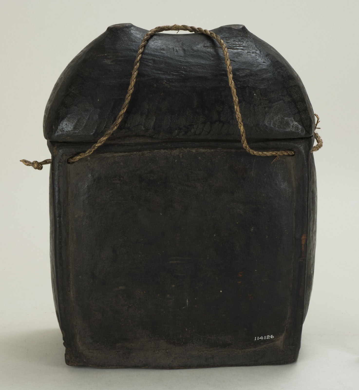 Front View Without Scale (c) Field Museum of Natural History - CC BY-NC 4.0