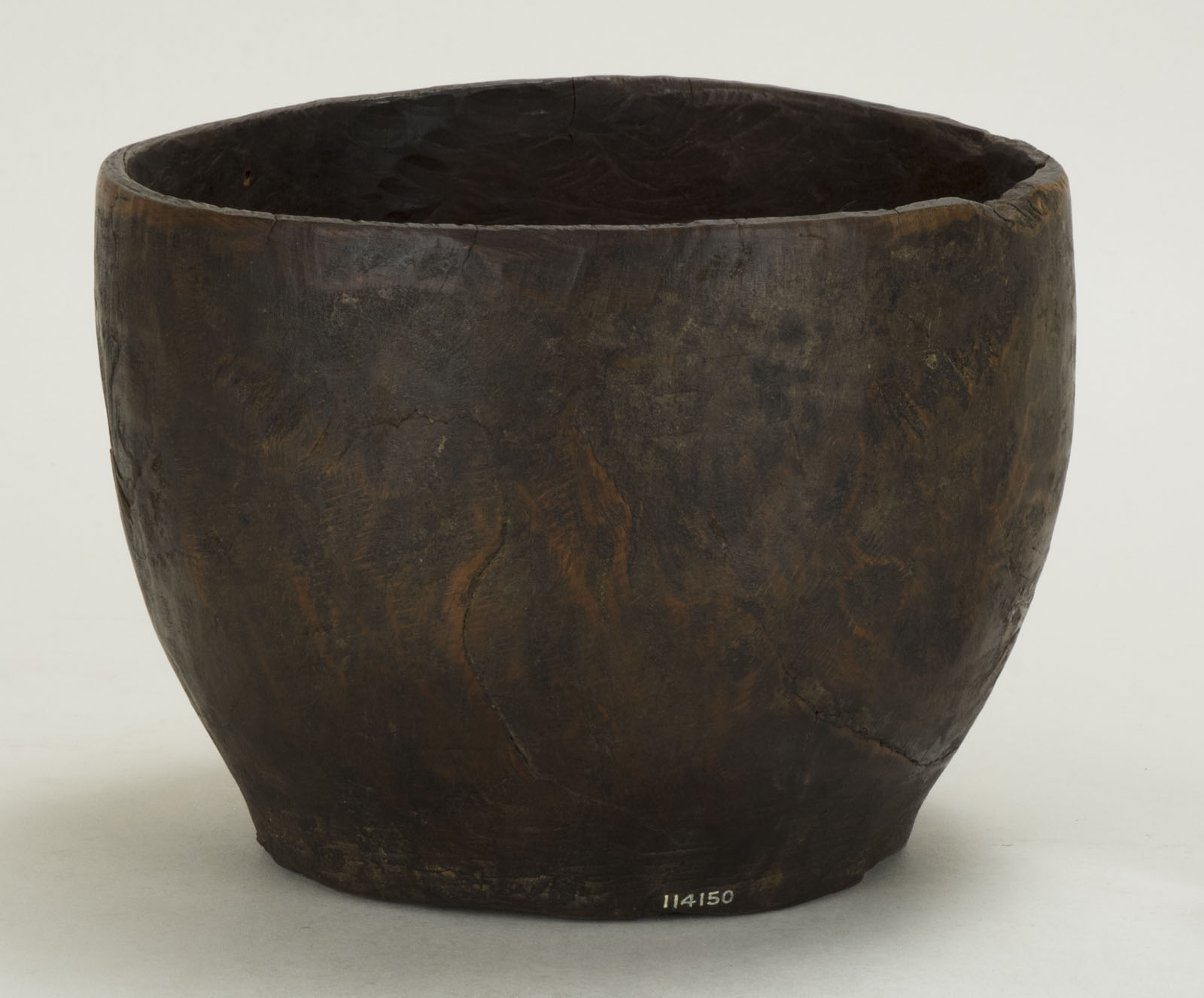 Front View Without Scale (c) Field Museum of Natural History - CC BY-NC 4.0