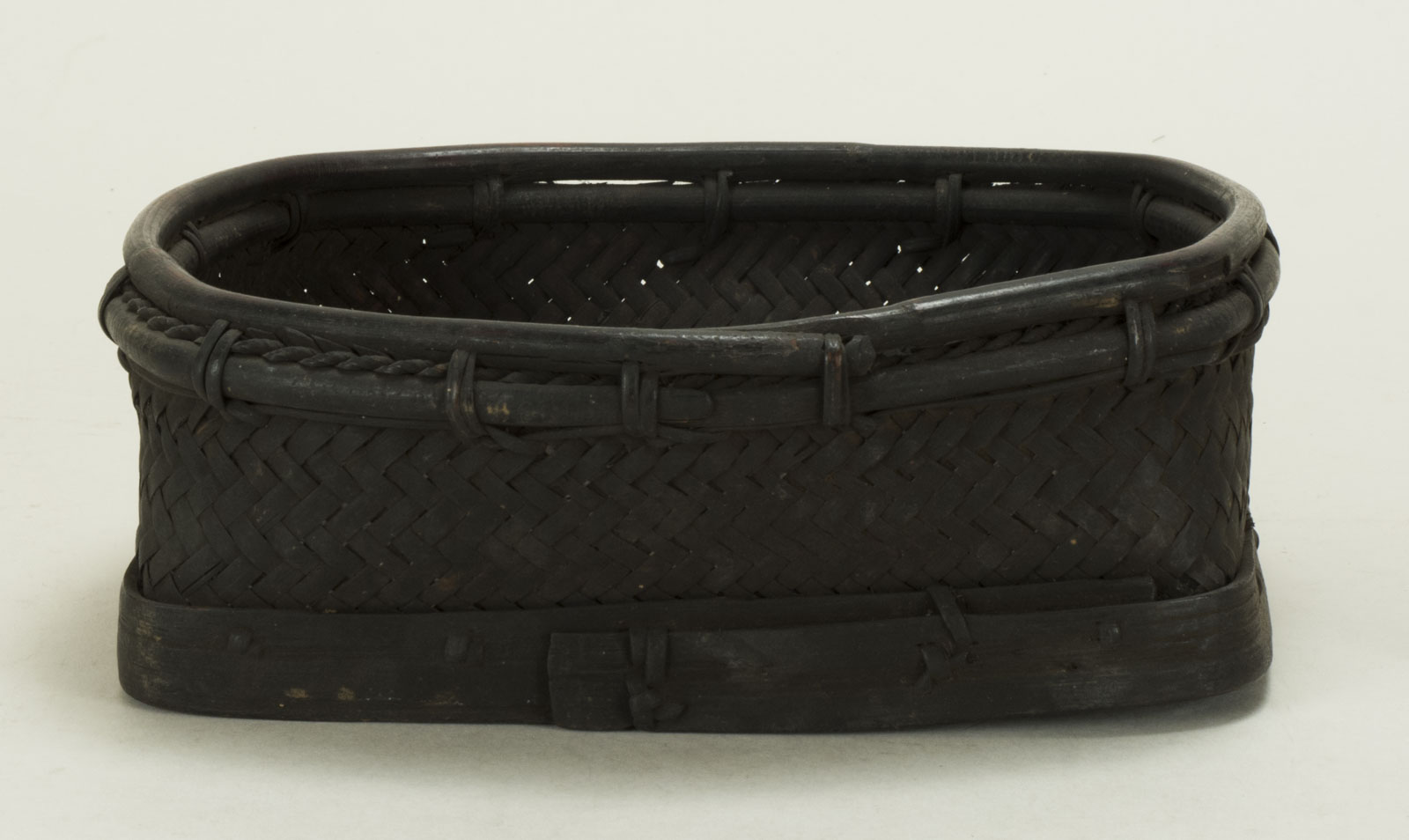 Front View Without Scale (c) Field Museum of Natural History - CC BY-NC 4.0