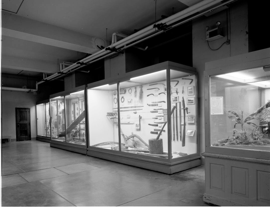 Hall A Philippines overall view documentary record of exhibit cases and dioramas before deinstallation. (c) Field Museum of Natural History - CC BY-NC 4.0
