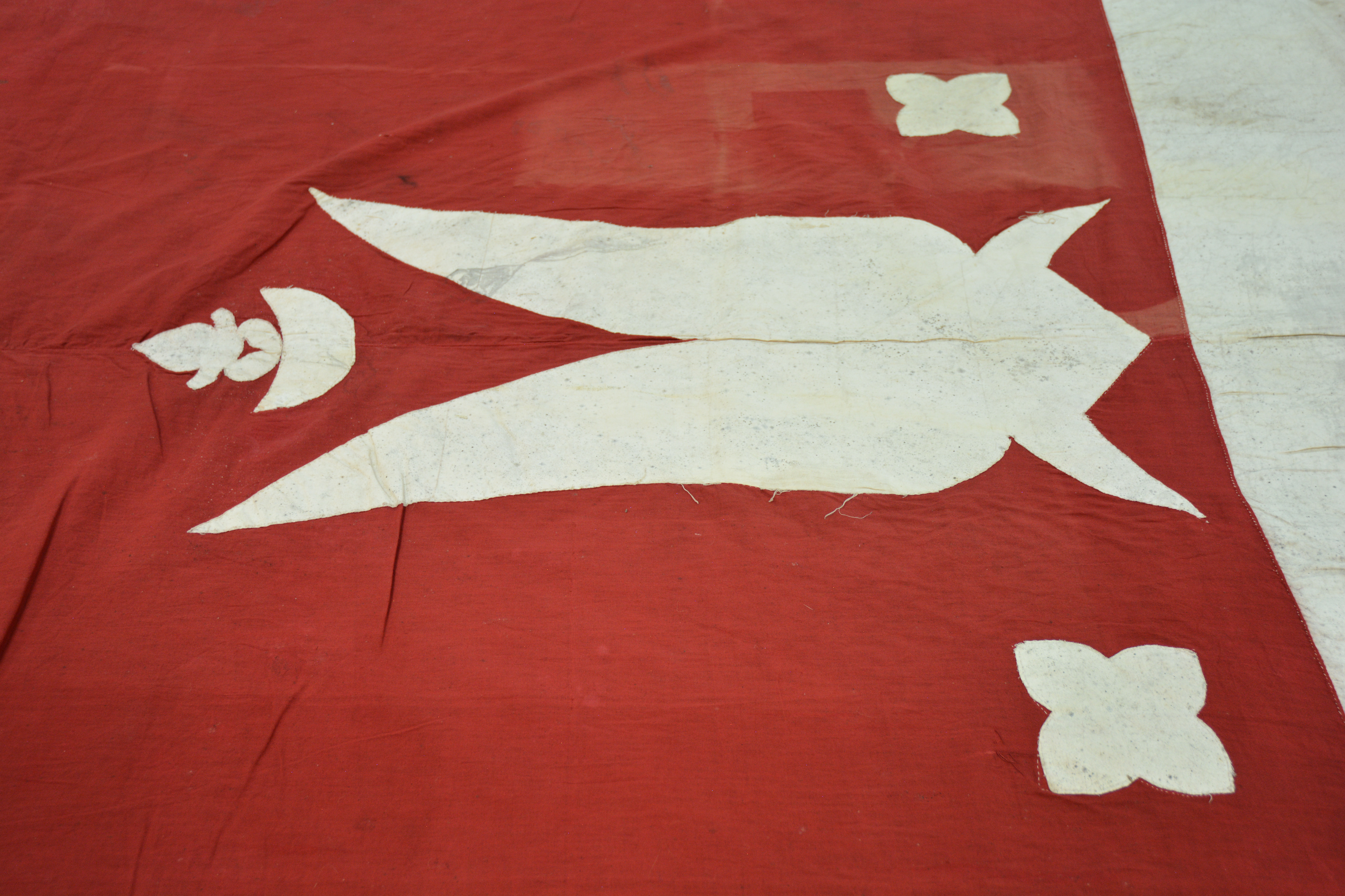 Top reverse detail view (c) Field Museum of Natural History - CC BY-NC 4.0