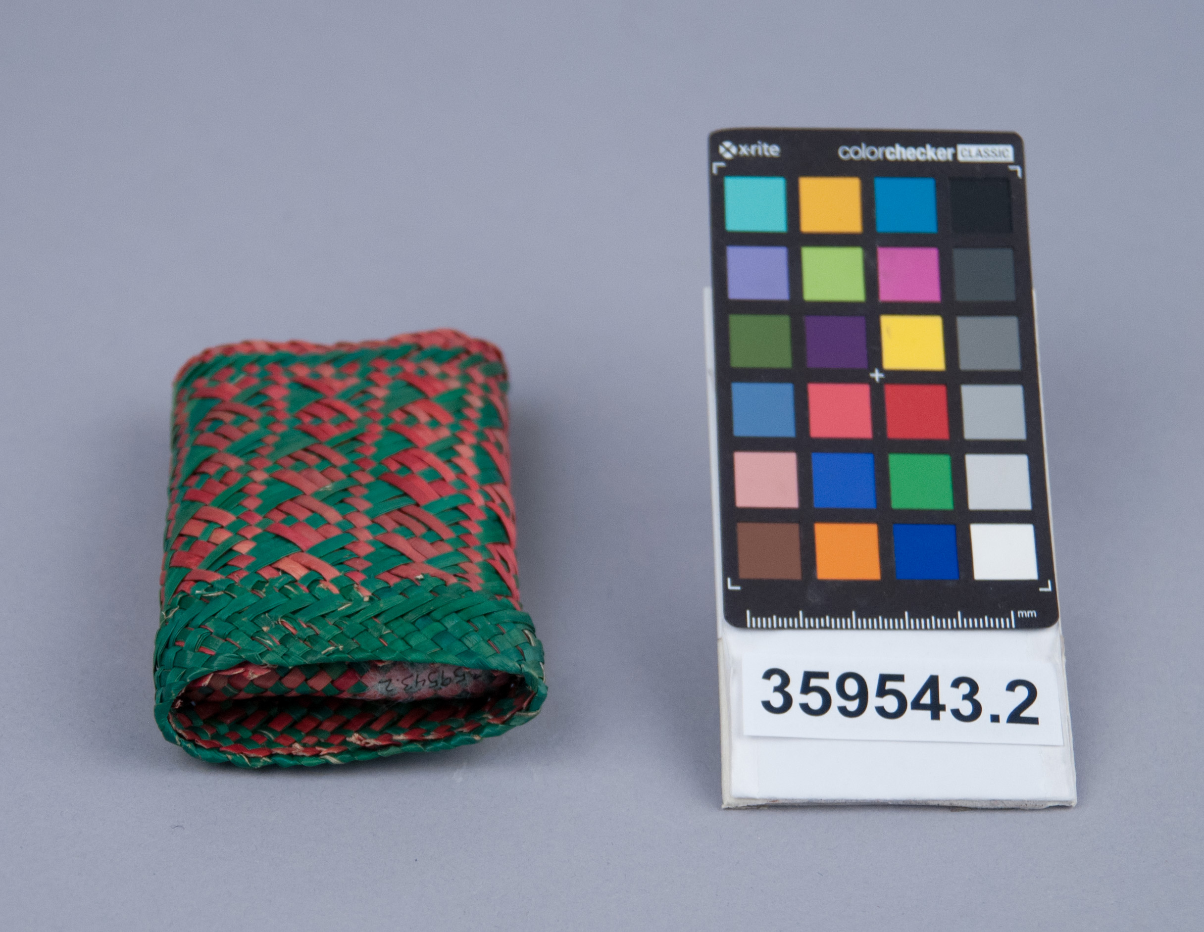 Reference image, bottom view (c) Field Museum of Natural History - CC BY-NC 4.0