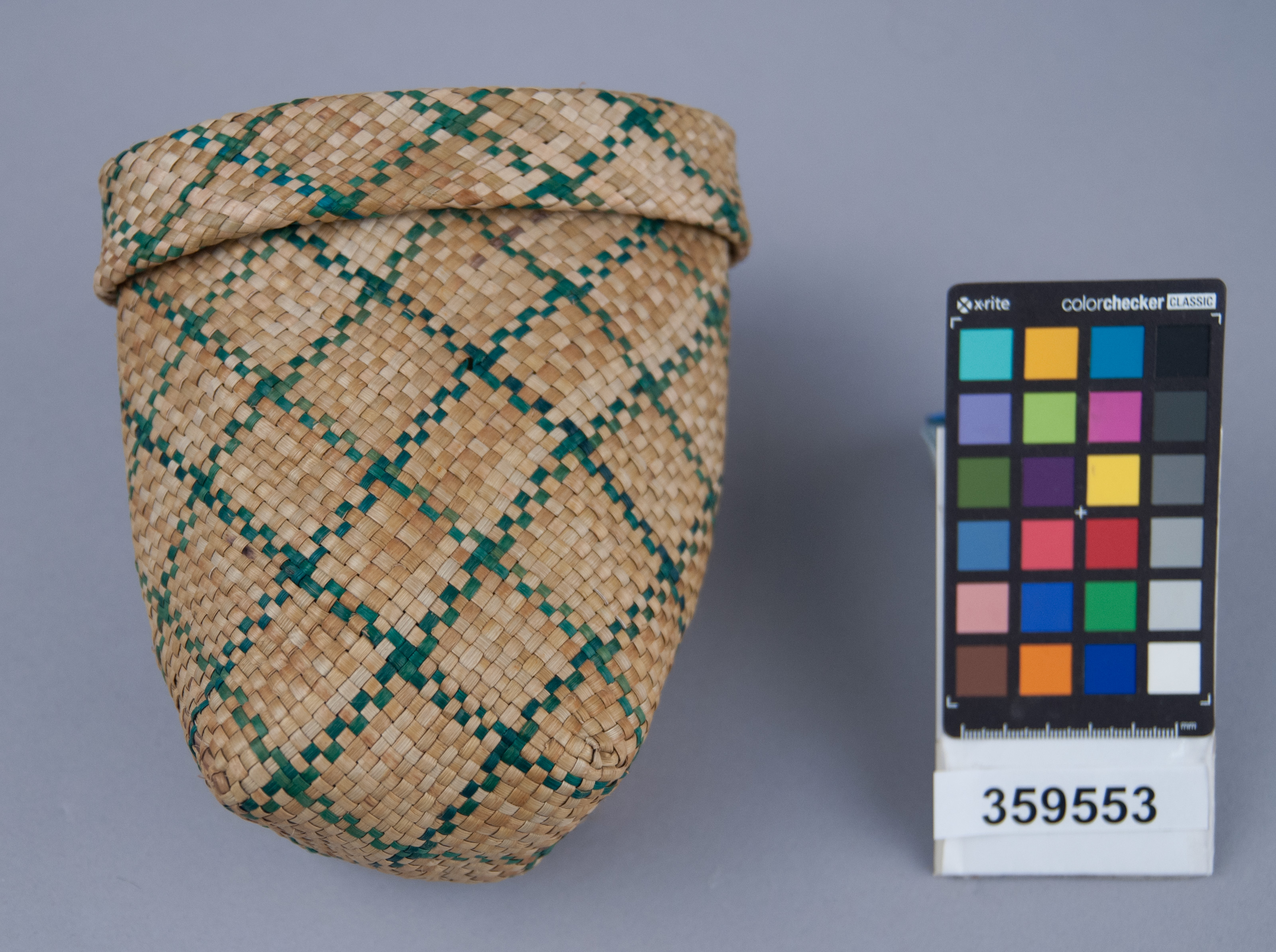 Reference image, overall view (c) Field Museum of Natural History - CC BY-NC 4.0