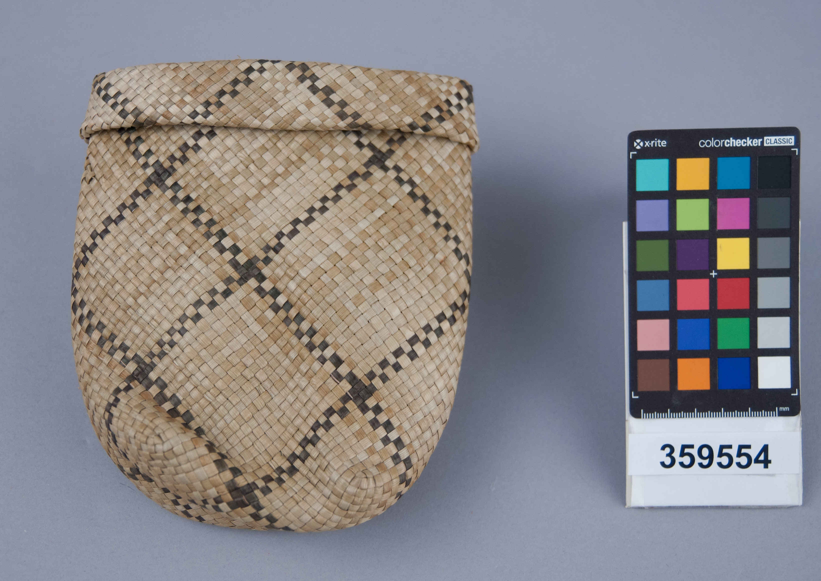 Reference image, overall view (c) Field Museum of Natural History - CC BY-NC 4.0