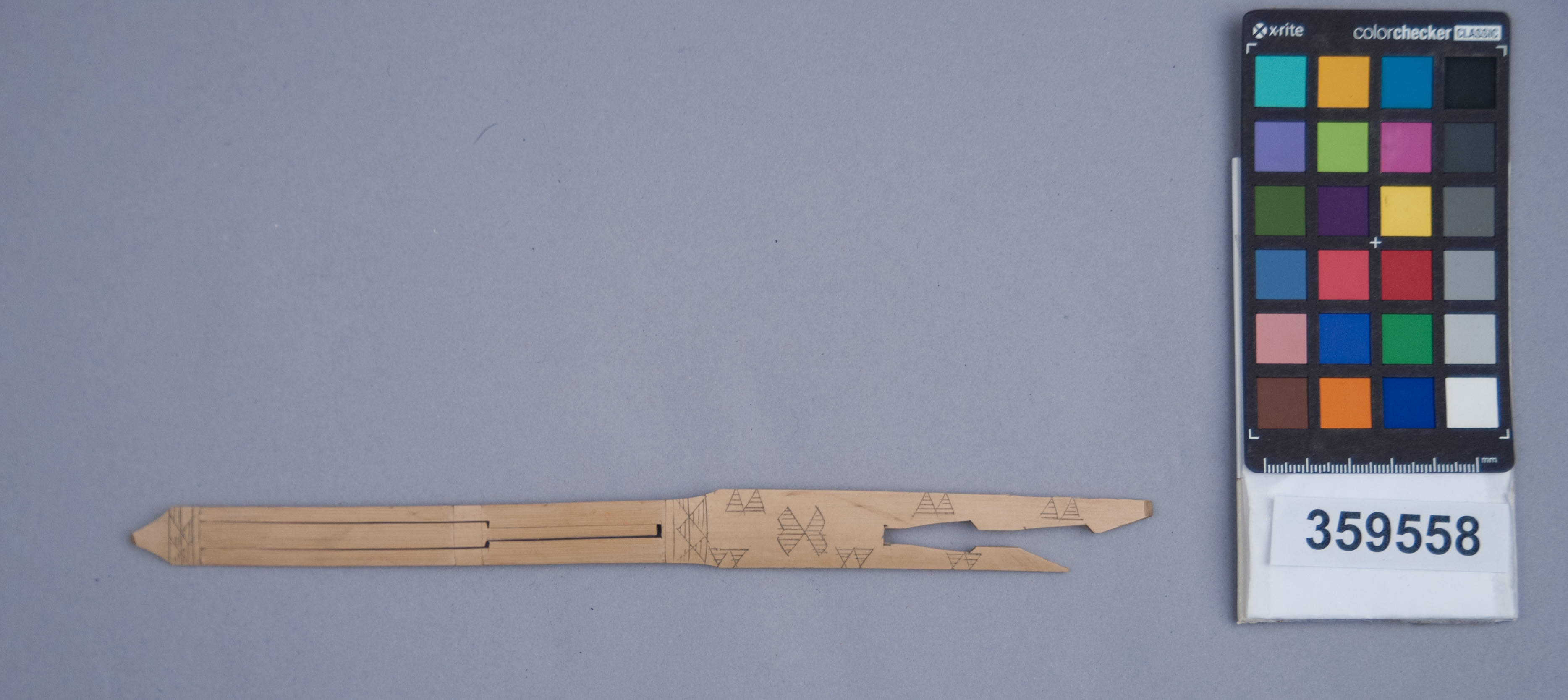 Reference image, overall view (c) Field Museum of Natural History - CC BY-NC 4.0