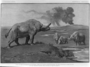 Titanothere brontotherium painting by Charles Knight Hall 38 copy of painting from U.S. Geological Survey text Monograph 55.