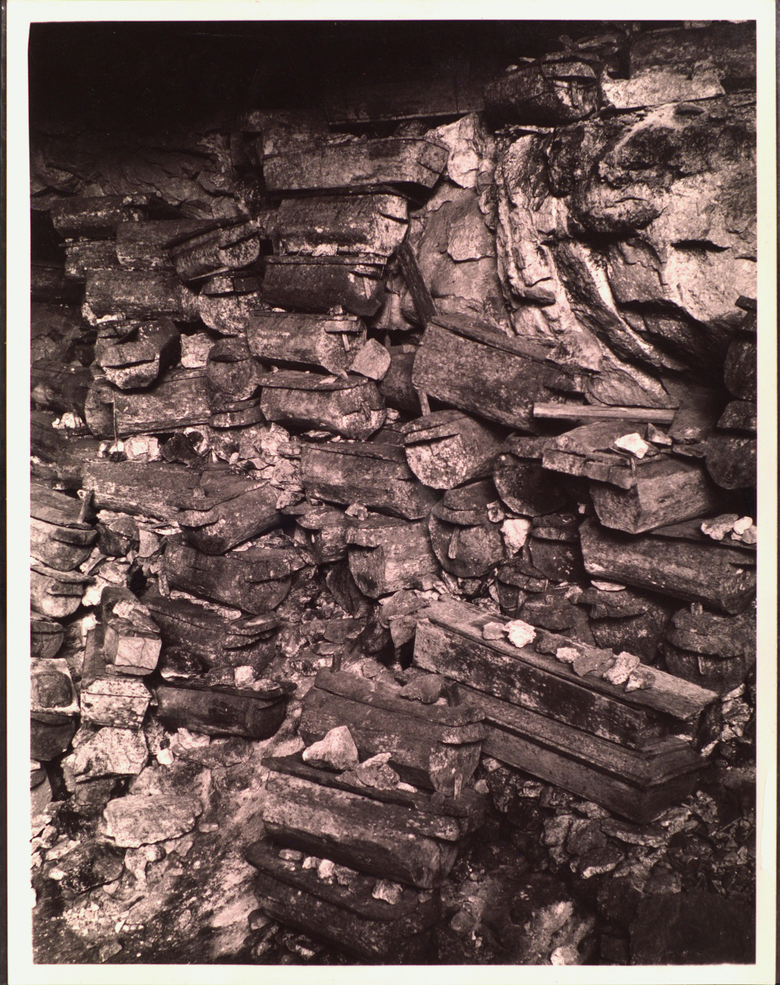 scan of photograph (c) Field Museum of Natural History - CC BY-NC 4.0