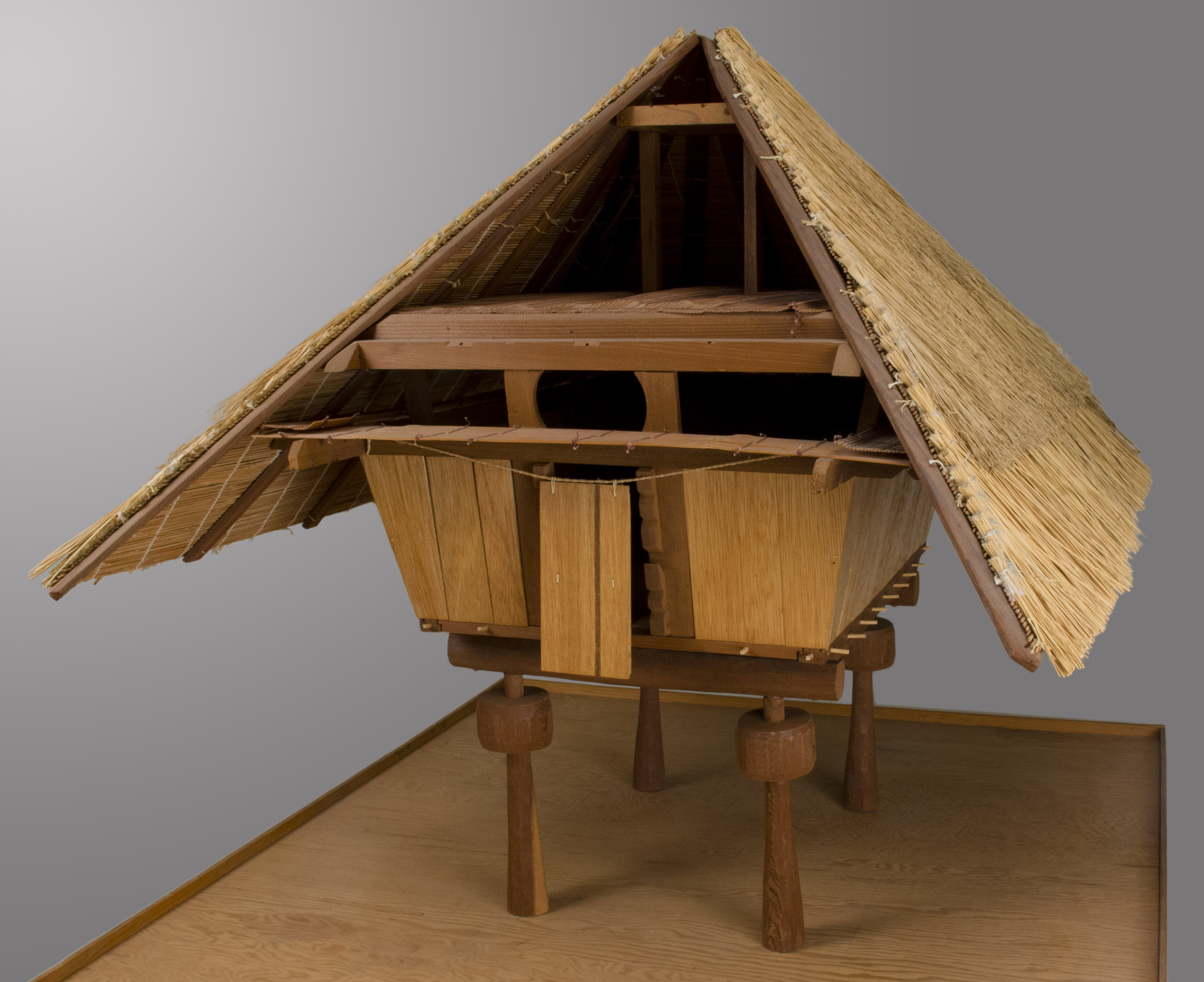 Front angled detail view without scale (c) Field Museum of Natural History - CC BY-NC 4.0