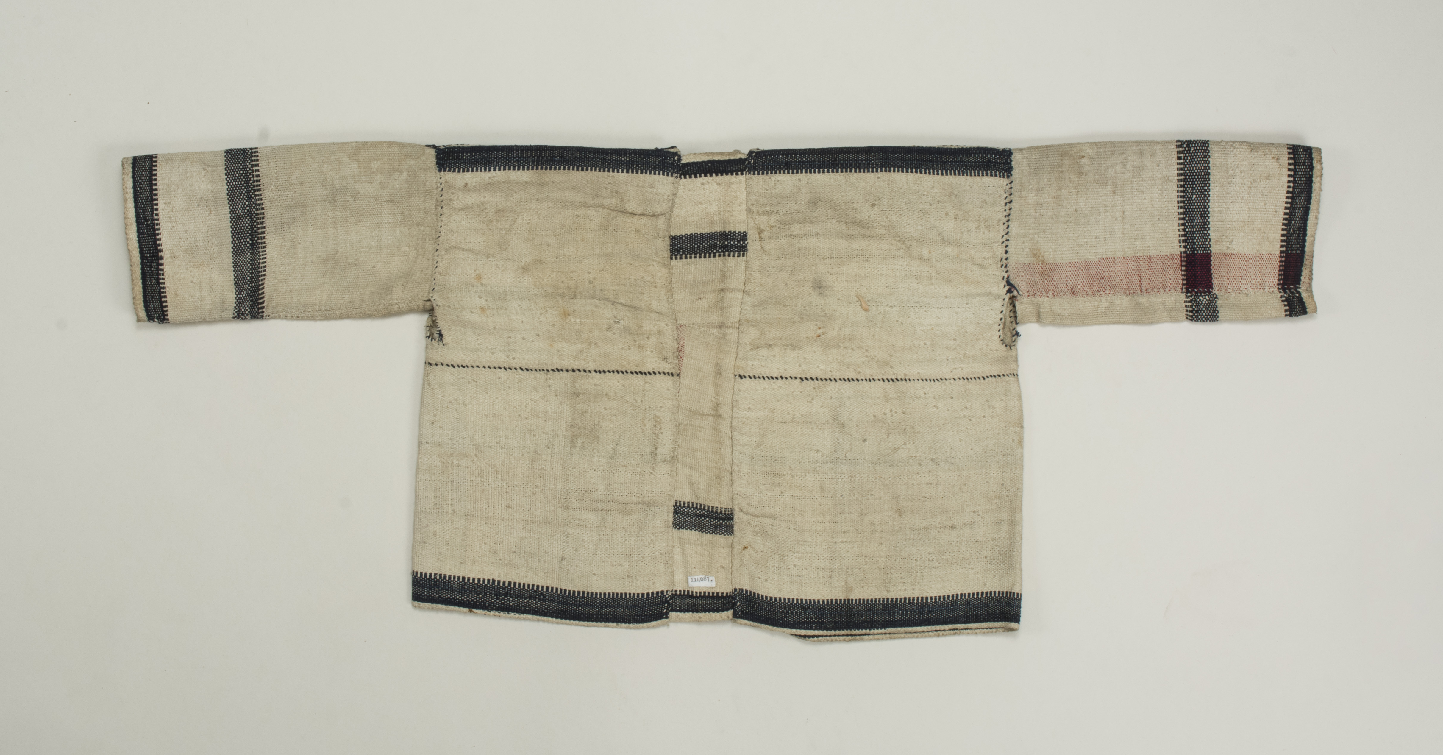 backNoscale (c) Field Museum of Natural History - CC BY-NC 4.0