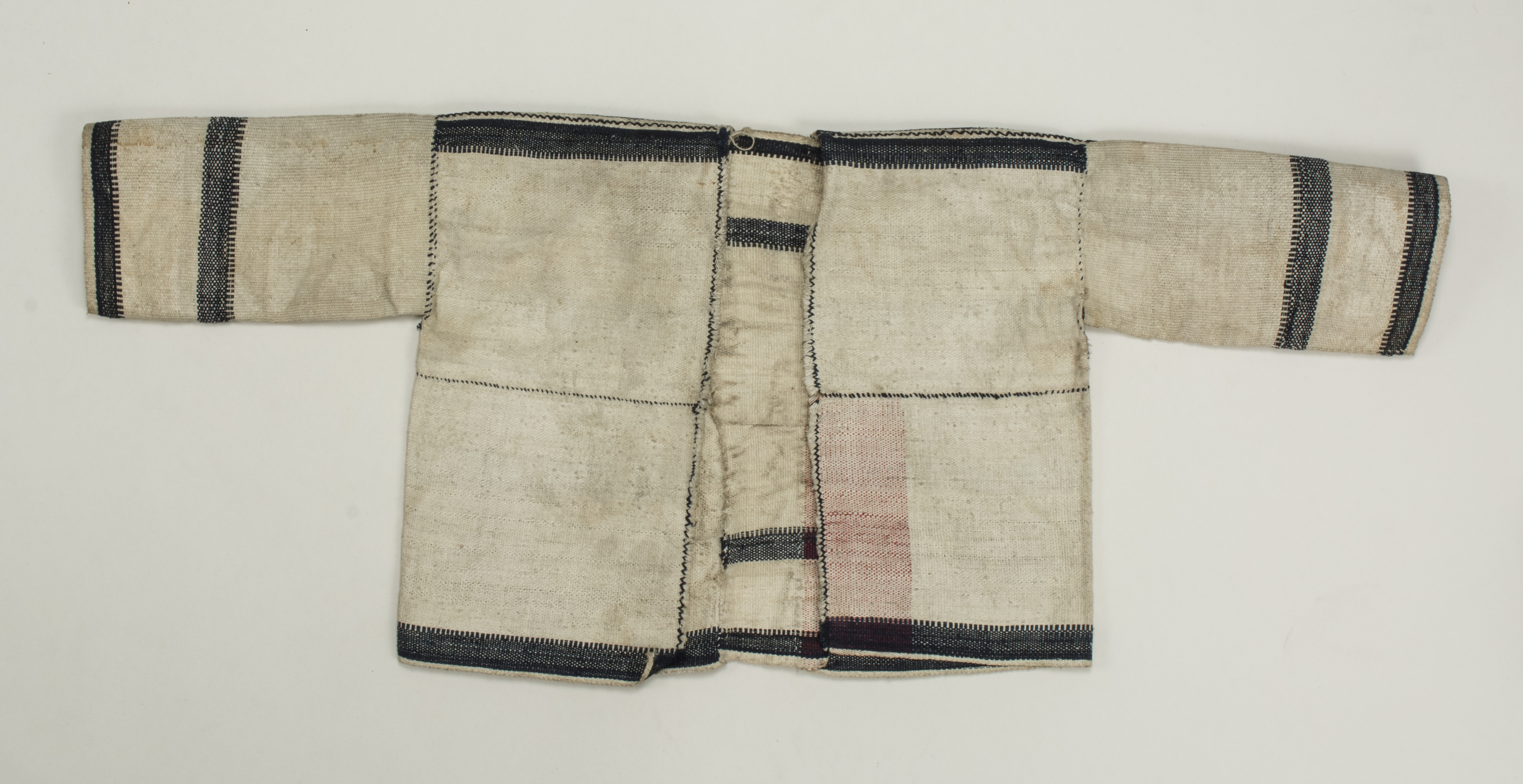 FrontNoscale (c) Field Museum of Natural History - CC BY-NC 4.0