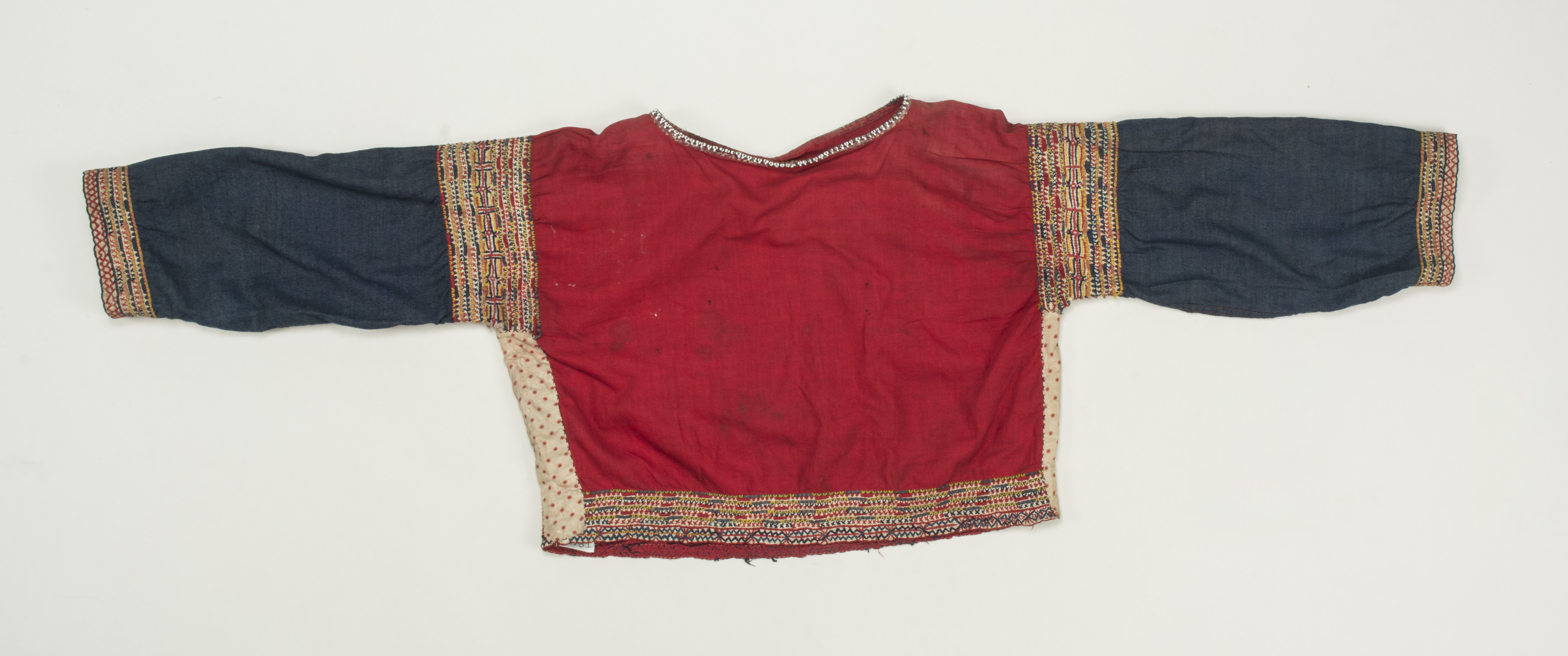 Frontnoscale (c) Field Museum of Natural History - CC BY-NC 4.0