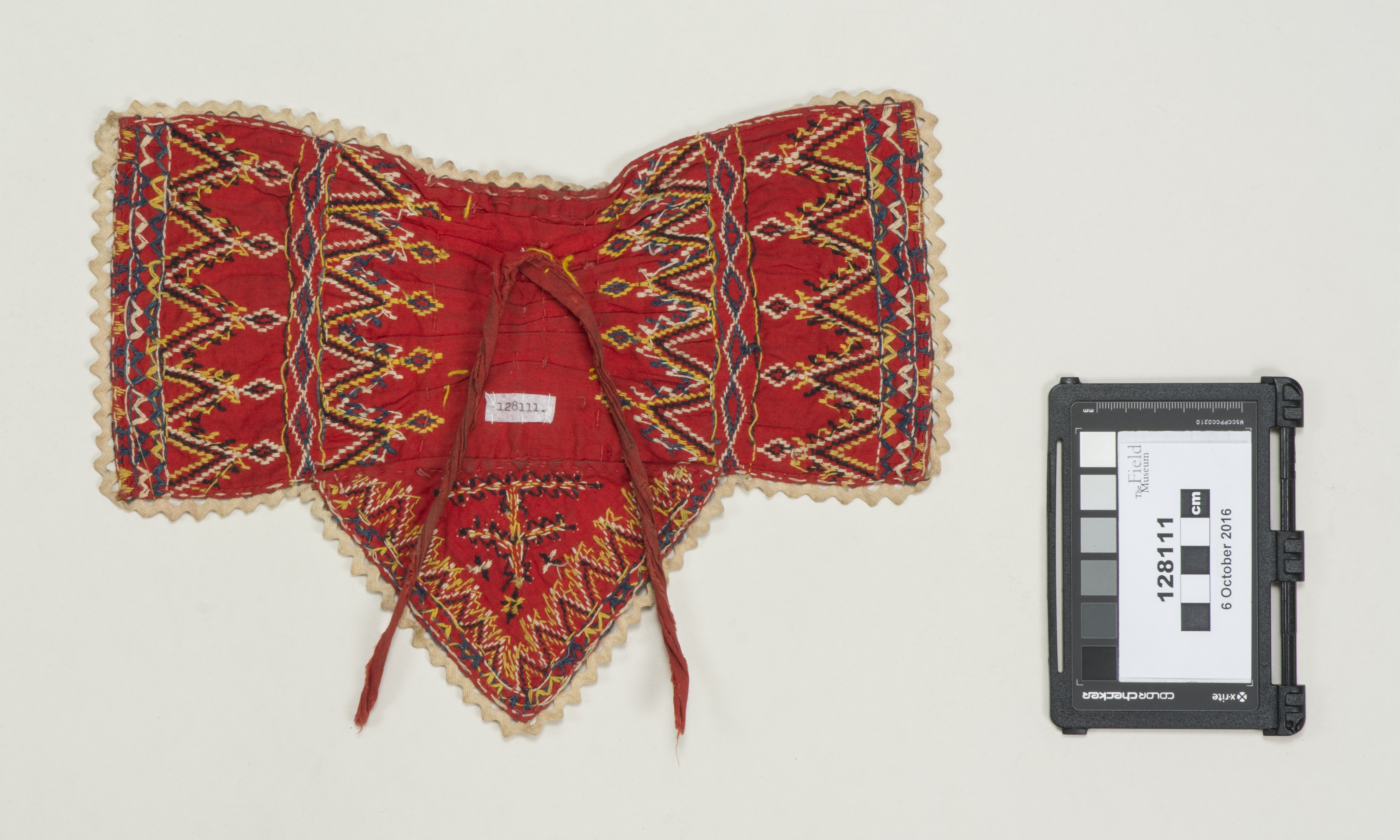 back (c) Field Museum of Natural History - CC BY-NC 4.0