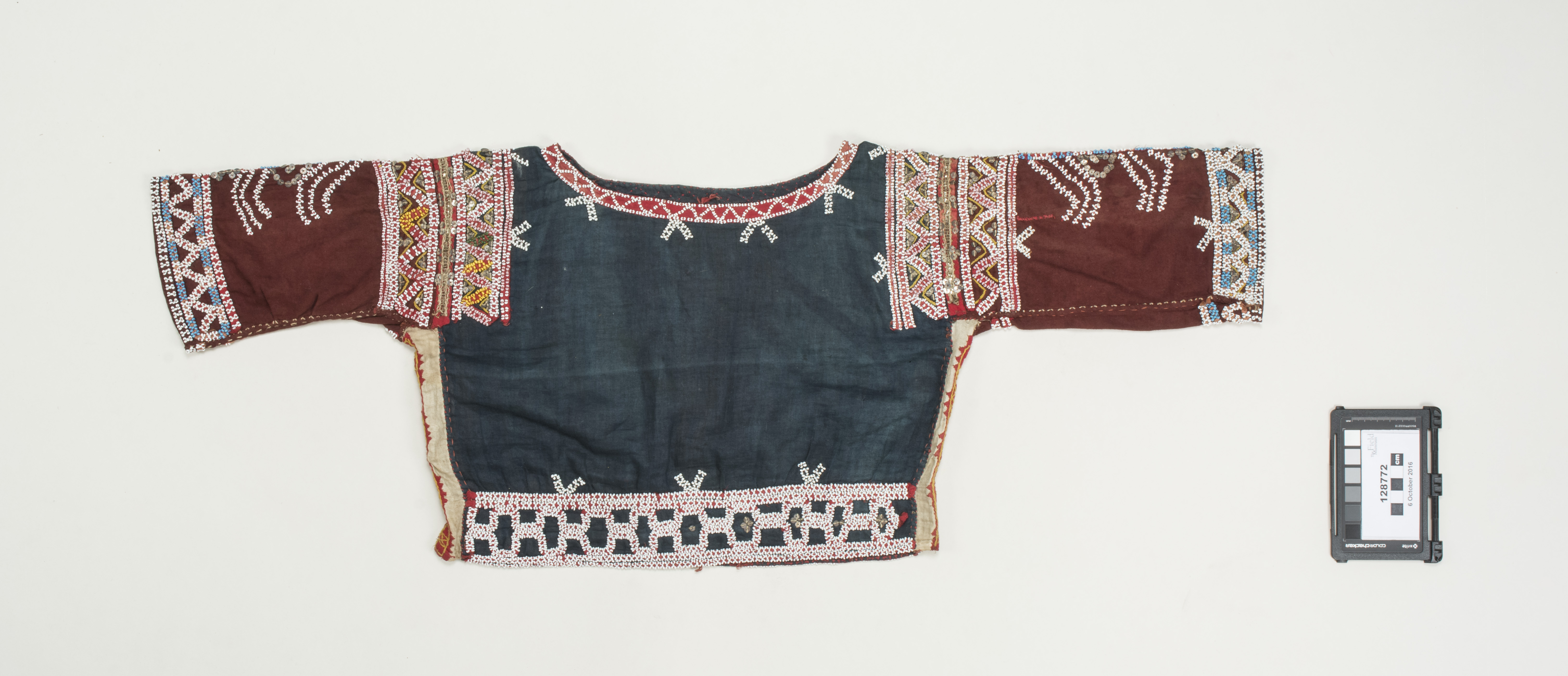 Front (c) Field Museum of Natural History - CC BY-NC 4.0