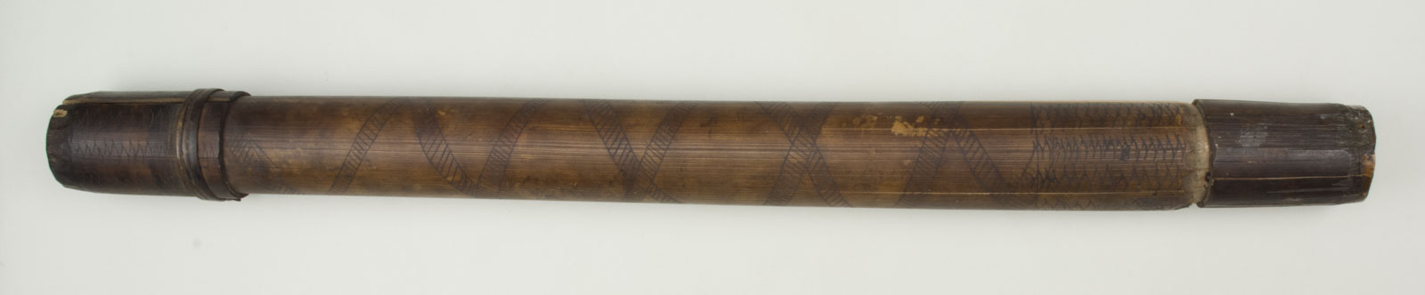 FrontNoScale (c) Field Museum of Natural History - CC BY-NC 4.0