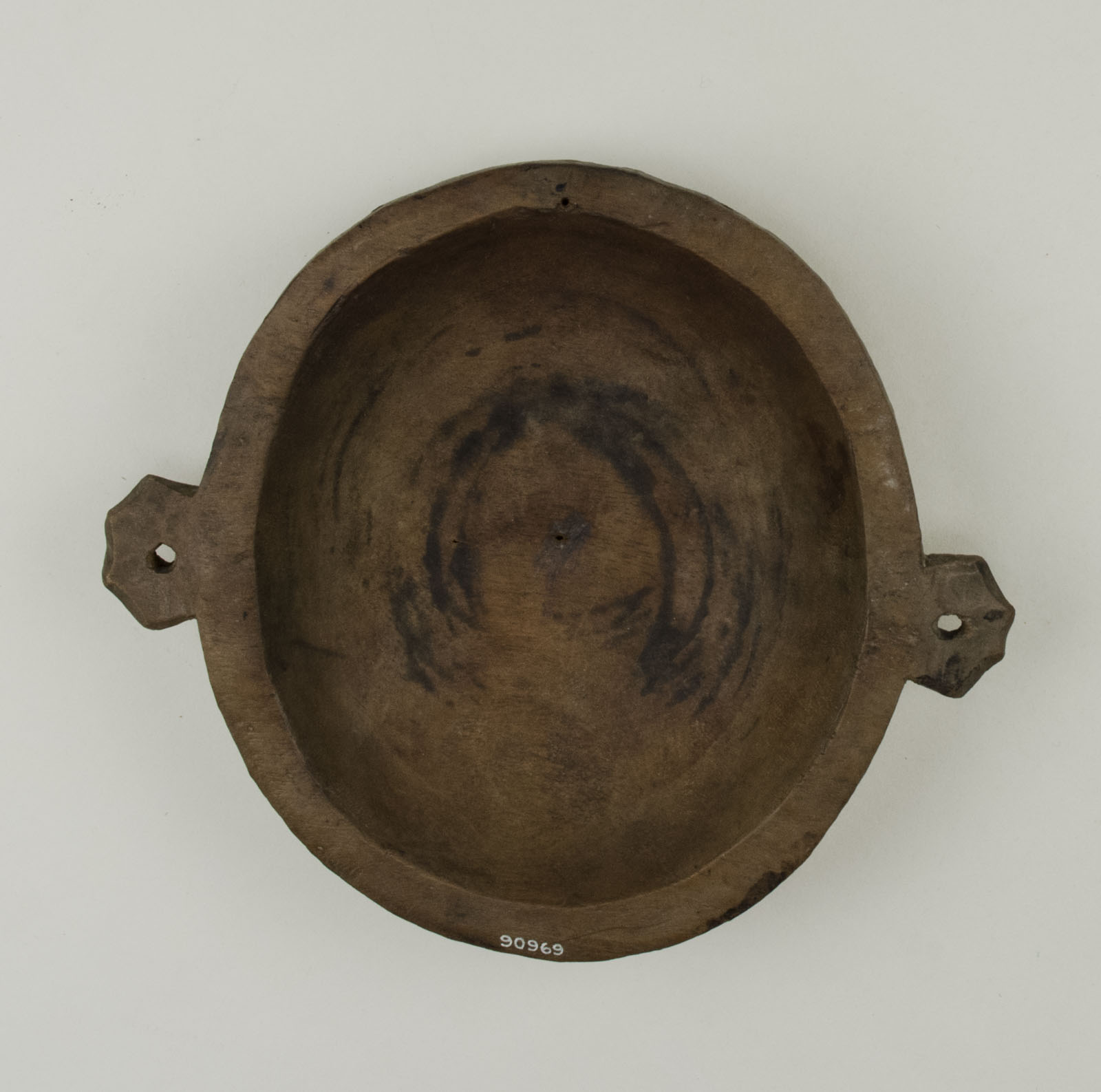 TopNoScale (c) Field Museum of Natural History - CC BY-NC 4.0