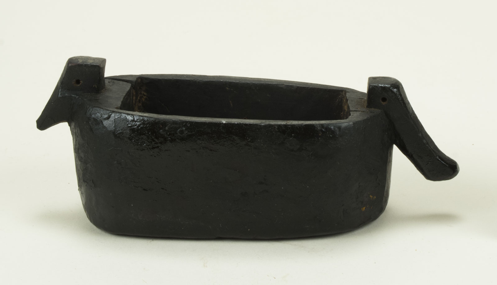 FrontNoScale (c) Field Museum of Natural History - CC BY-NC 4.0