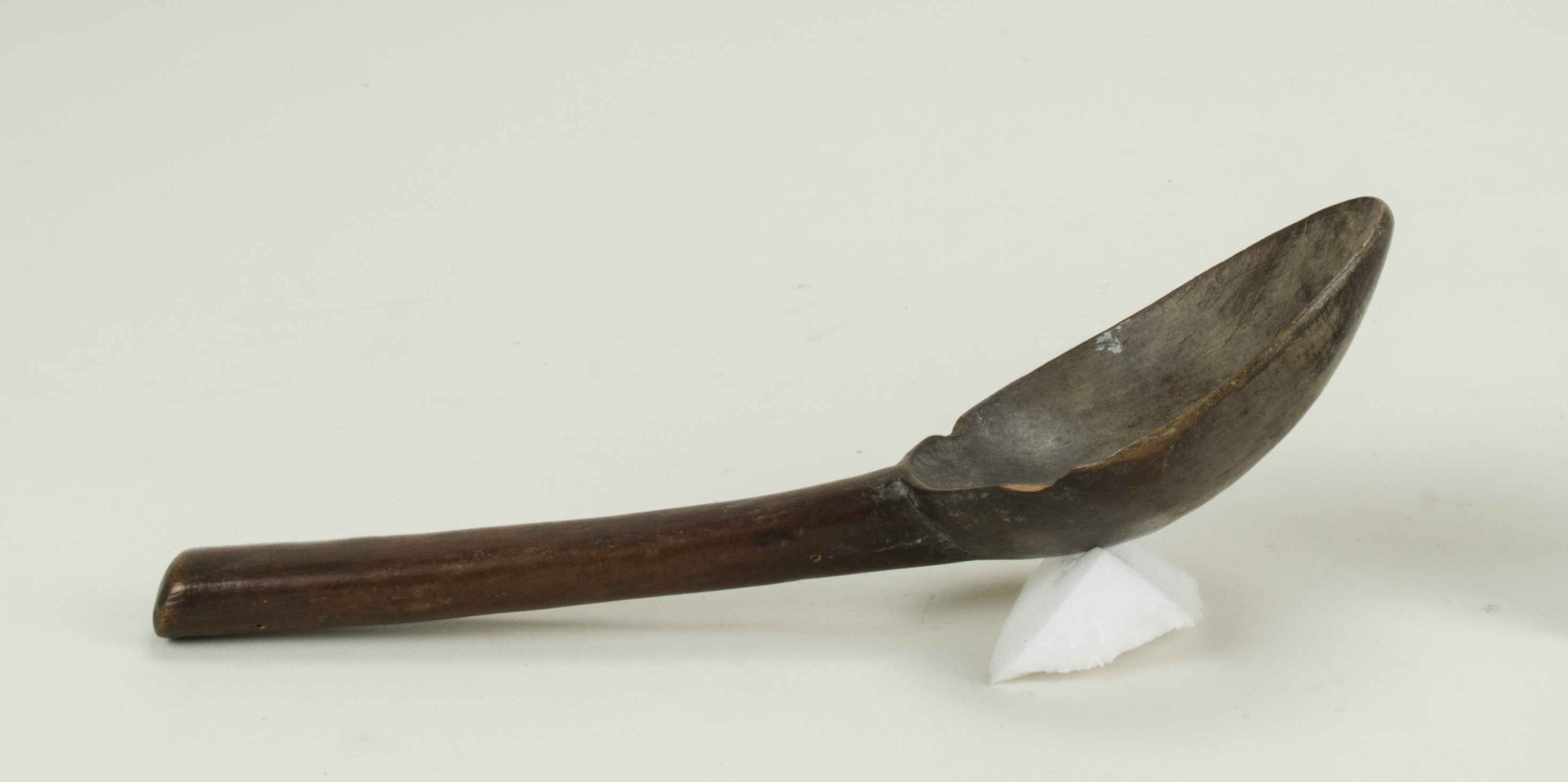 SideNoScale (c) Field Museum of Natural History - CC BY-NC 4.0