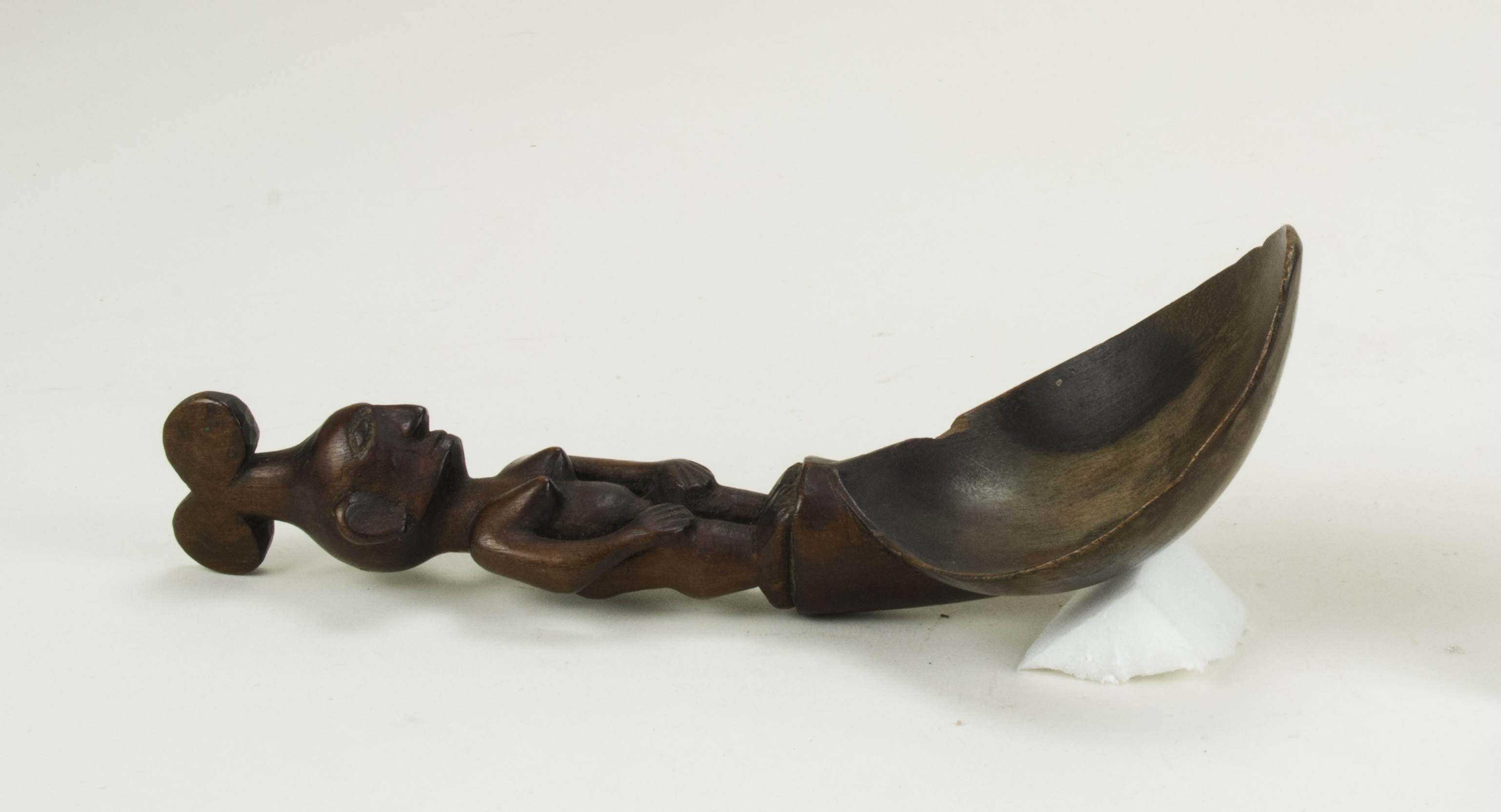 SideNoScale (c) Field Museum of Natural History - CC BY-NC 4.0