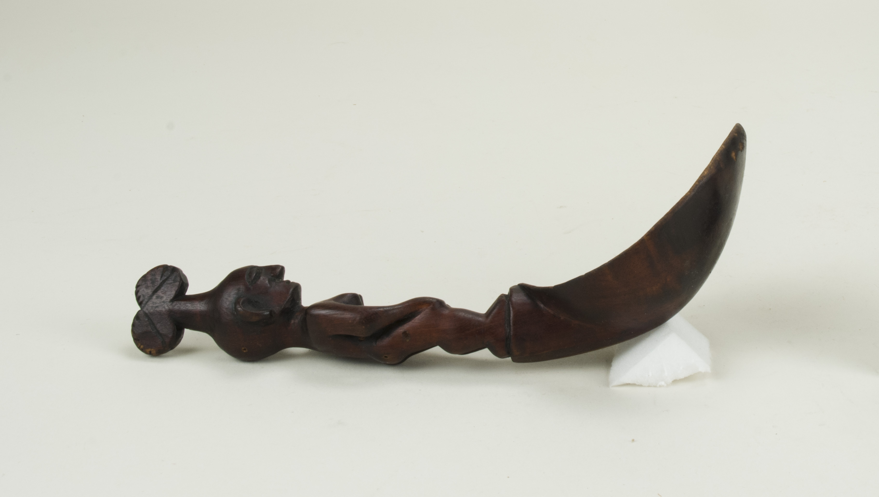 SideNoScale (c) Field Museum of Natural History - CC BY-NC 4.0