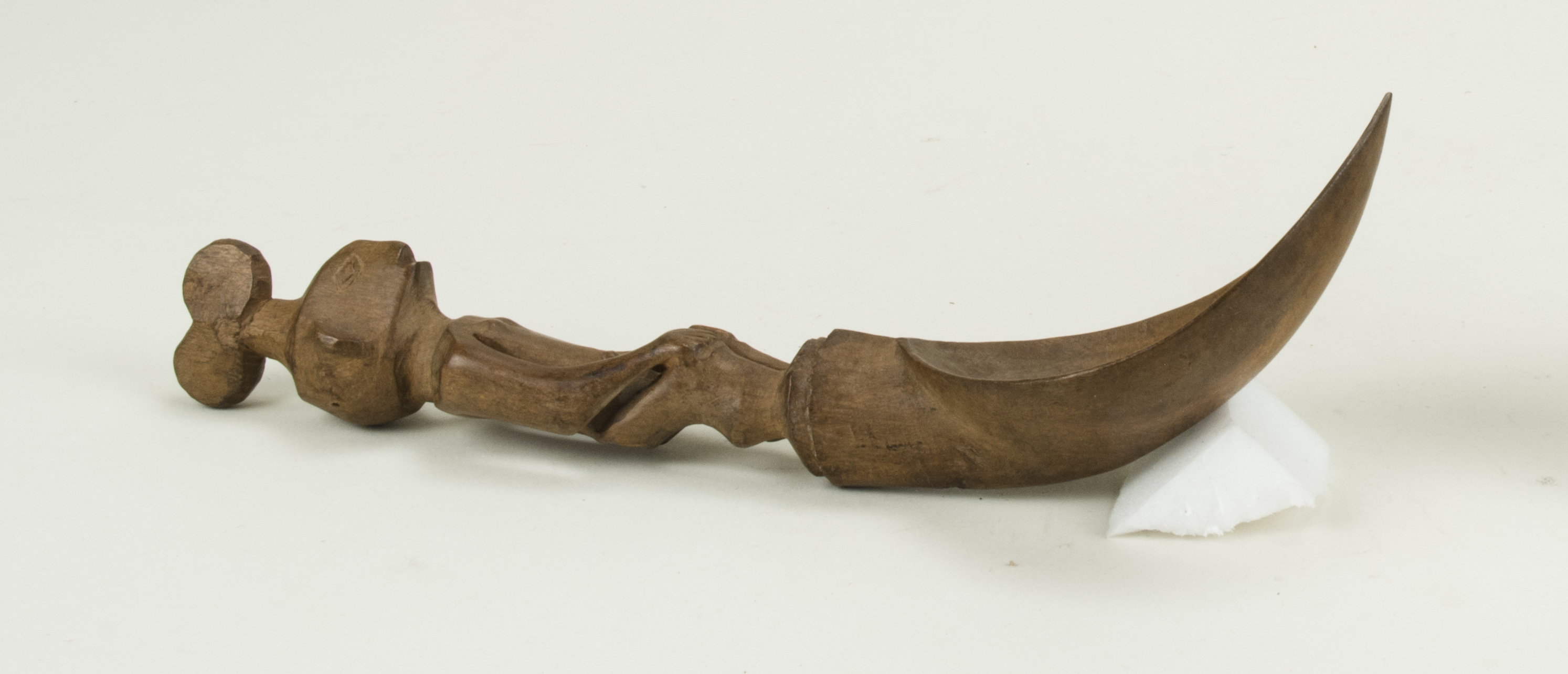 SideNoScale (c) Field Museum of Natural History - CC BY-NC 4.0